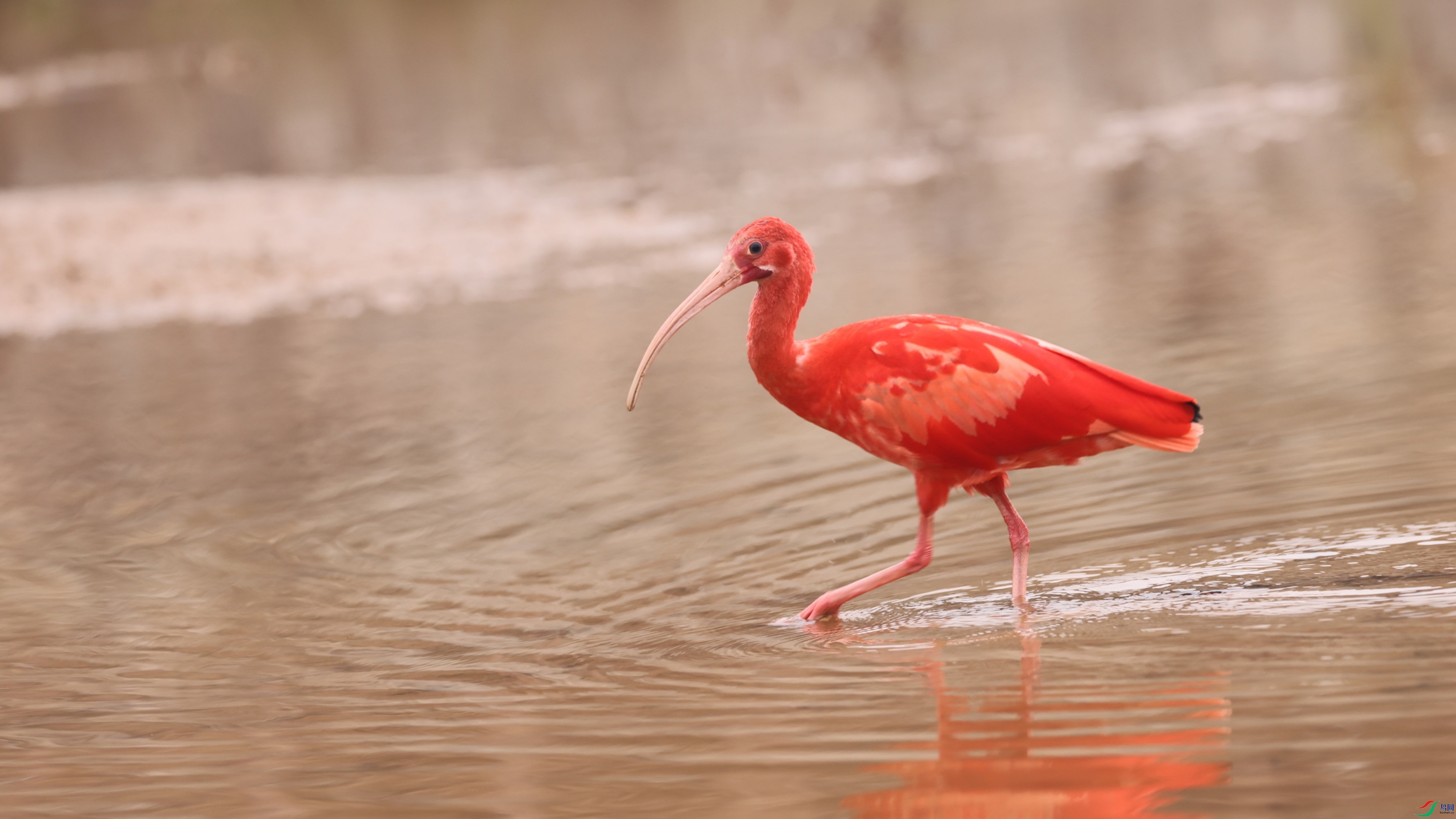 2F6A0306 (2)_����.jpg