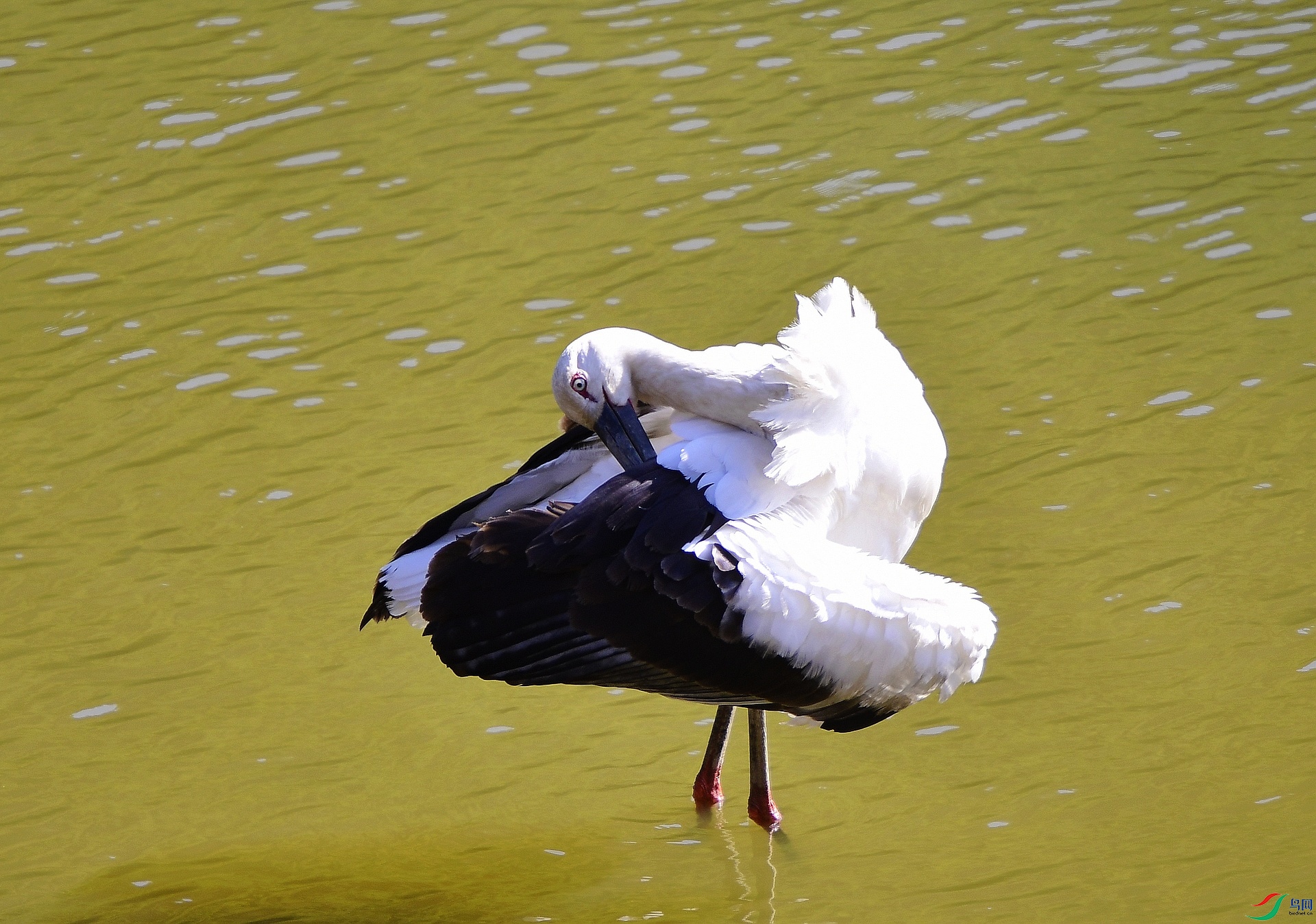 _D5D8309.jpg