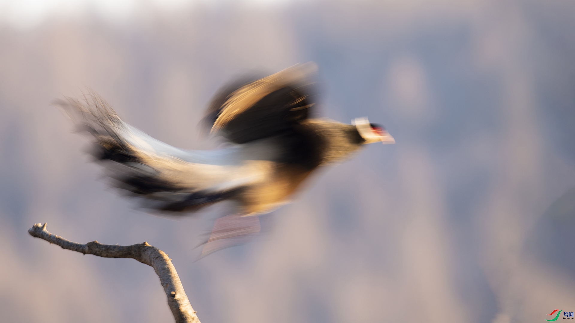 WLZ_1429 ������ ����.jpg