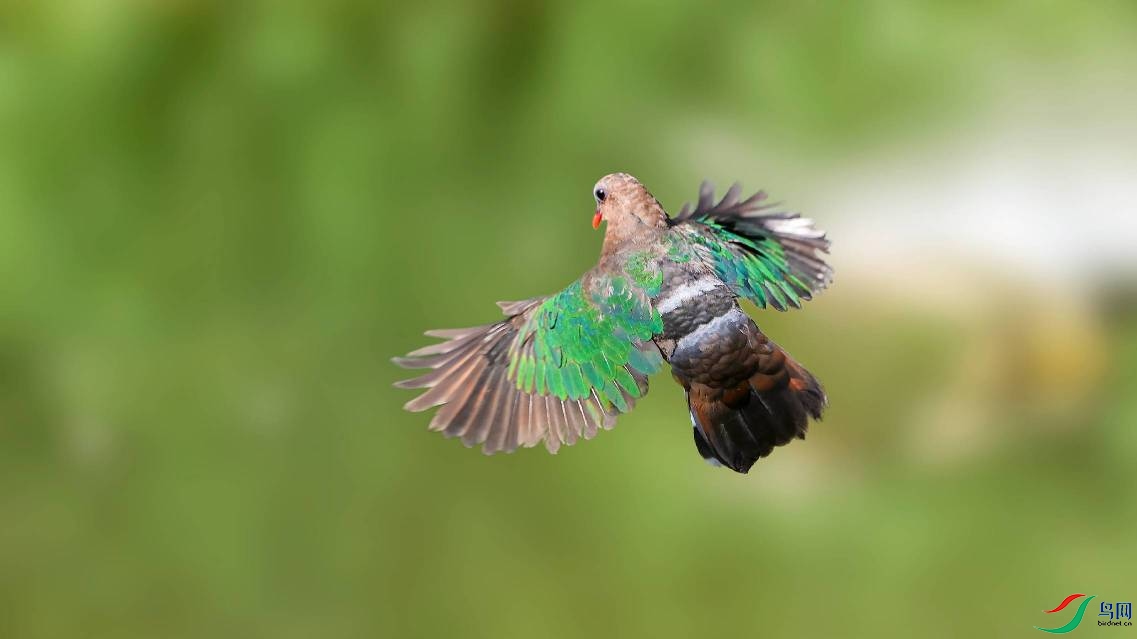 Mix_20240107_035029 (1).jpg