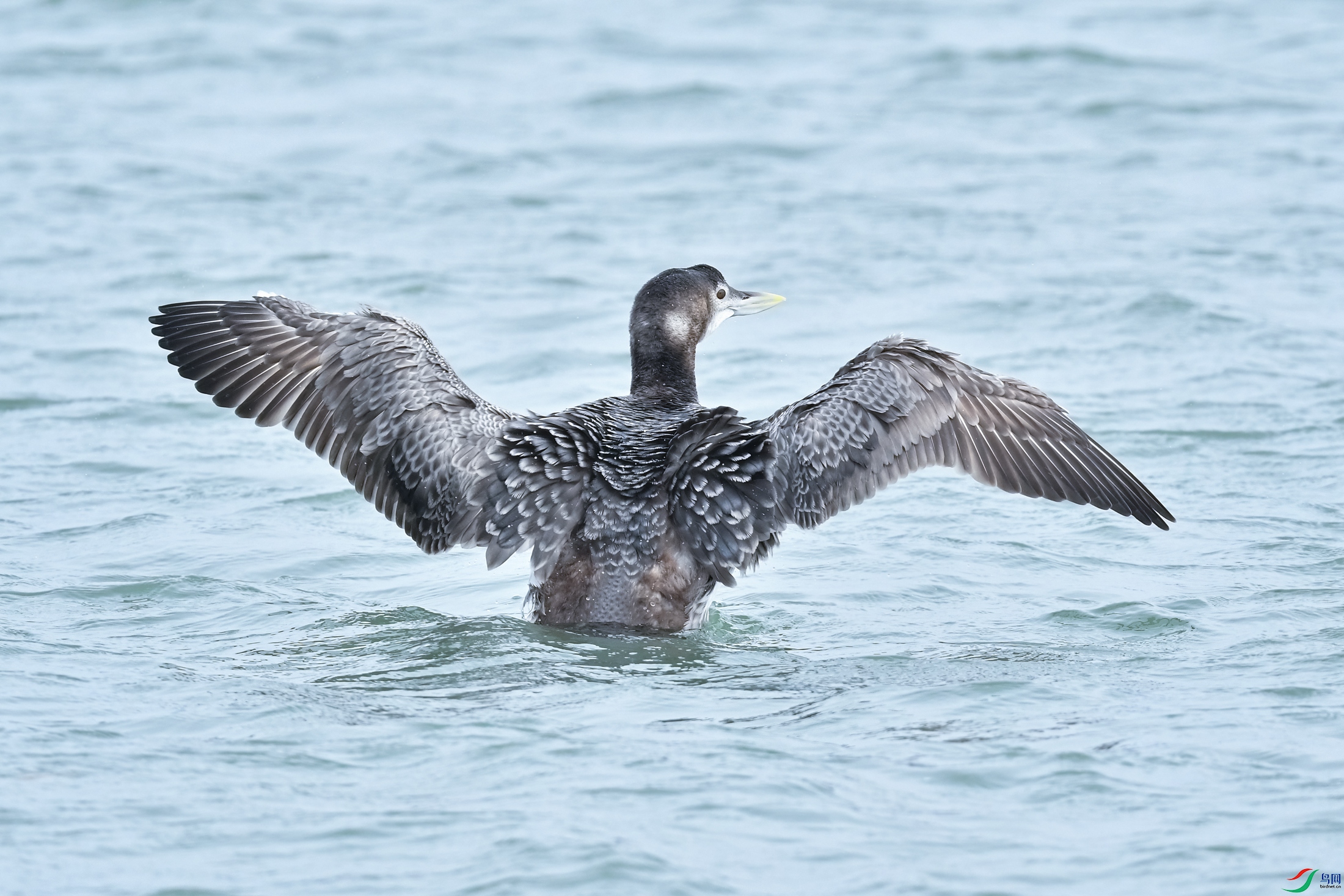 DSC_1653x.jpg