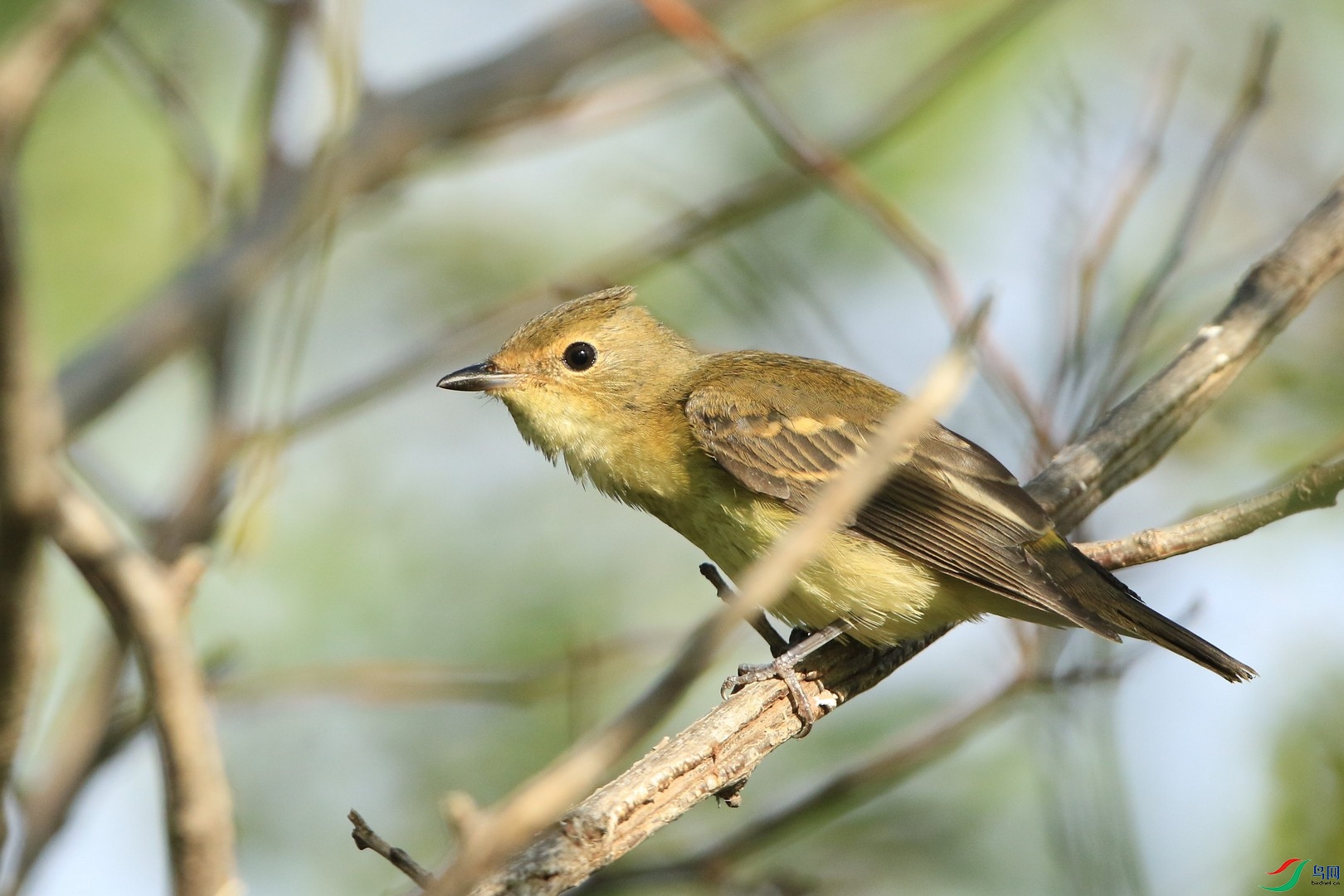 ����ʲô�� 0F4A6012.jpg