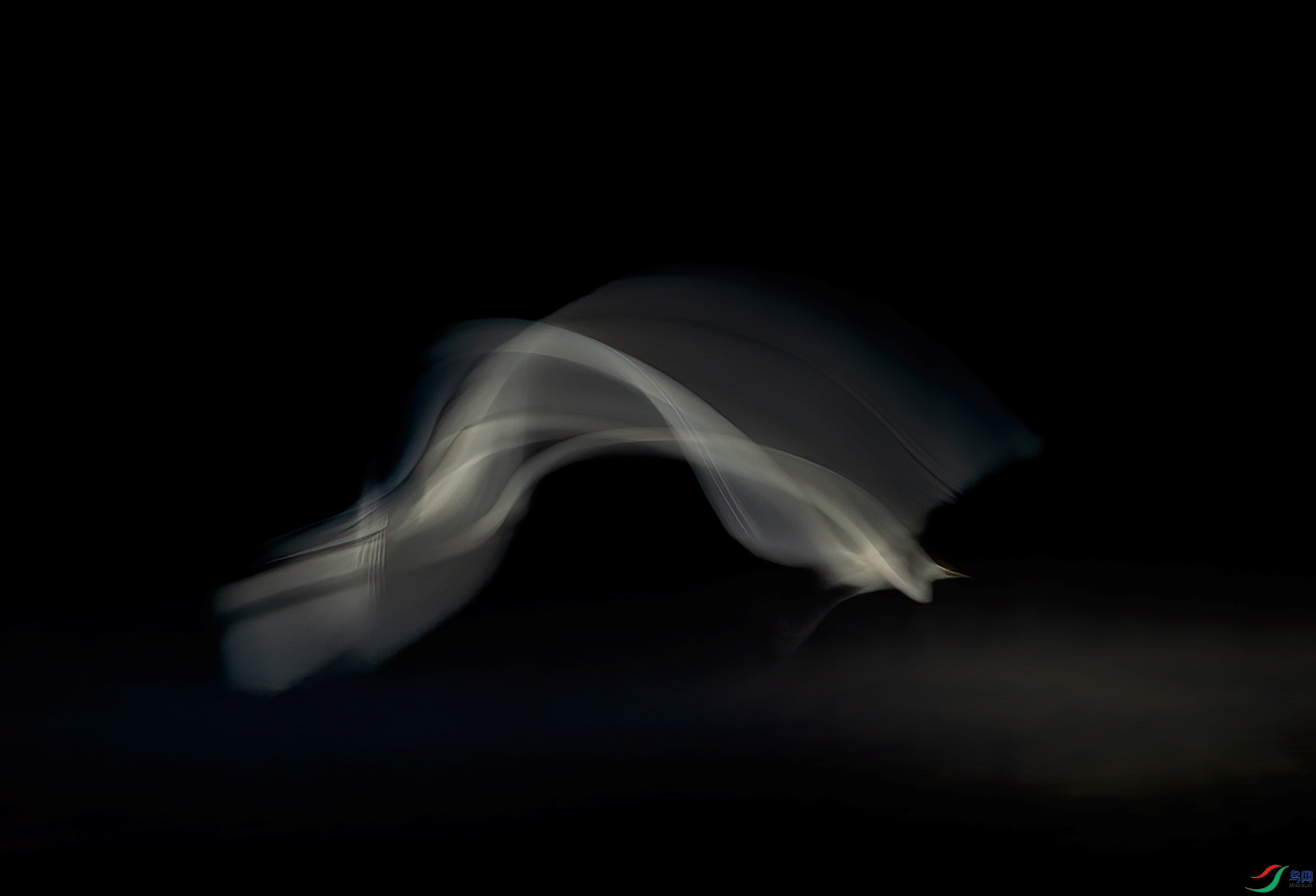 _V1Q1663.jpg