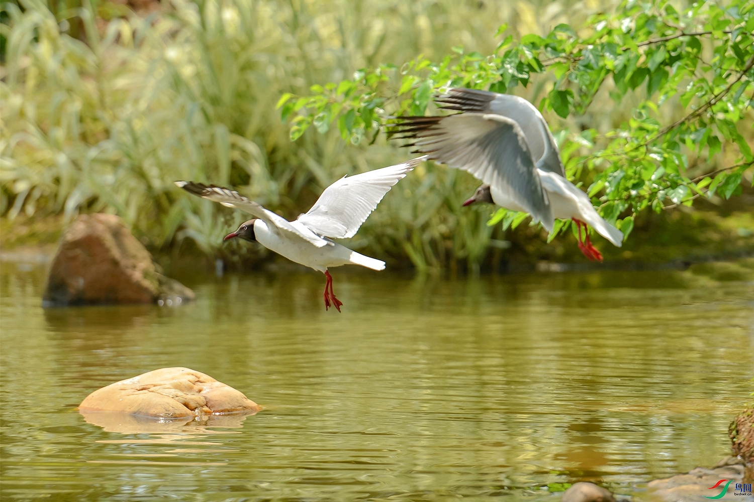 DSC_5731.jpg
