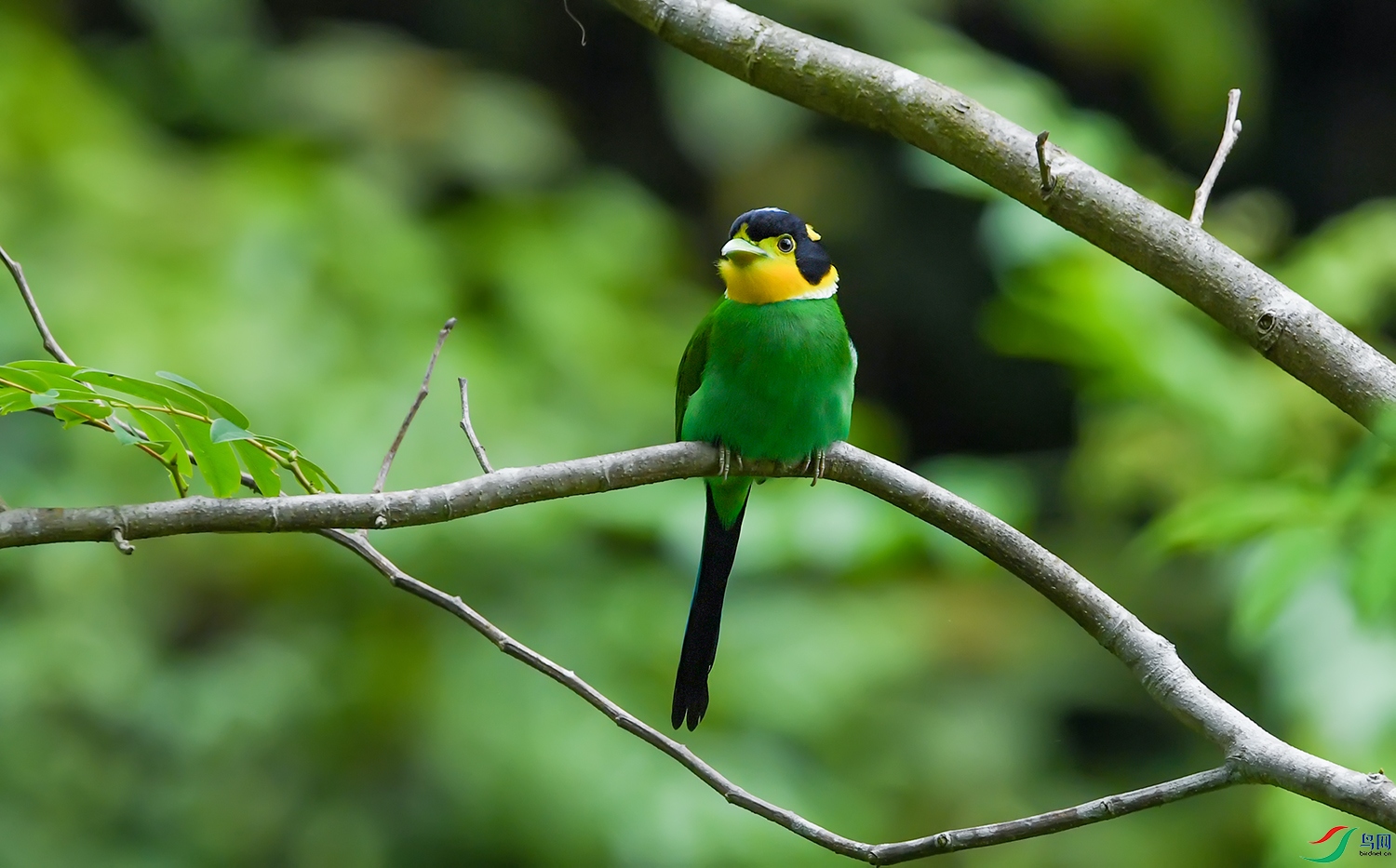 DSC_30651.jpg
