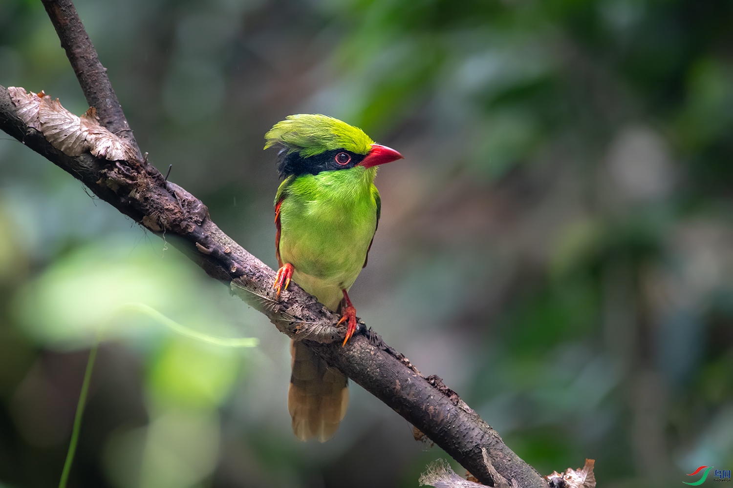 DSC_44061.jpg