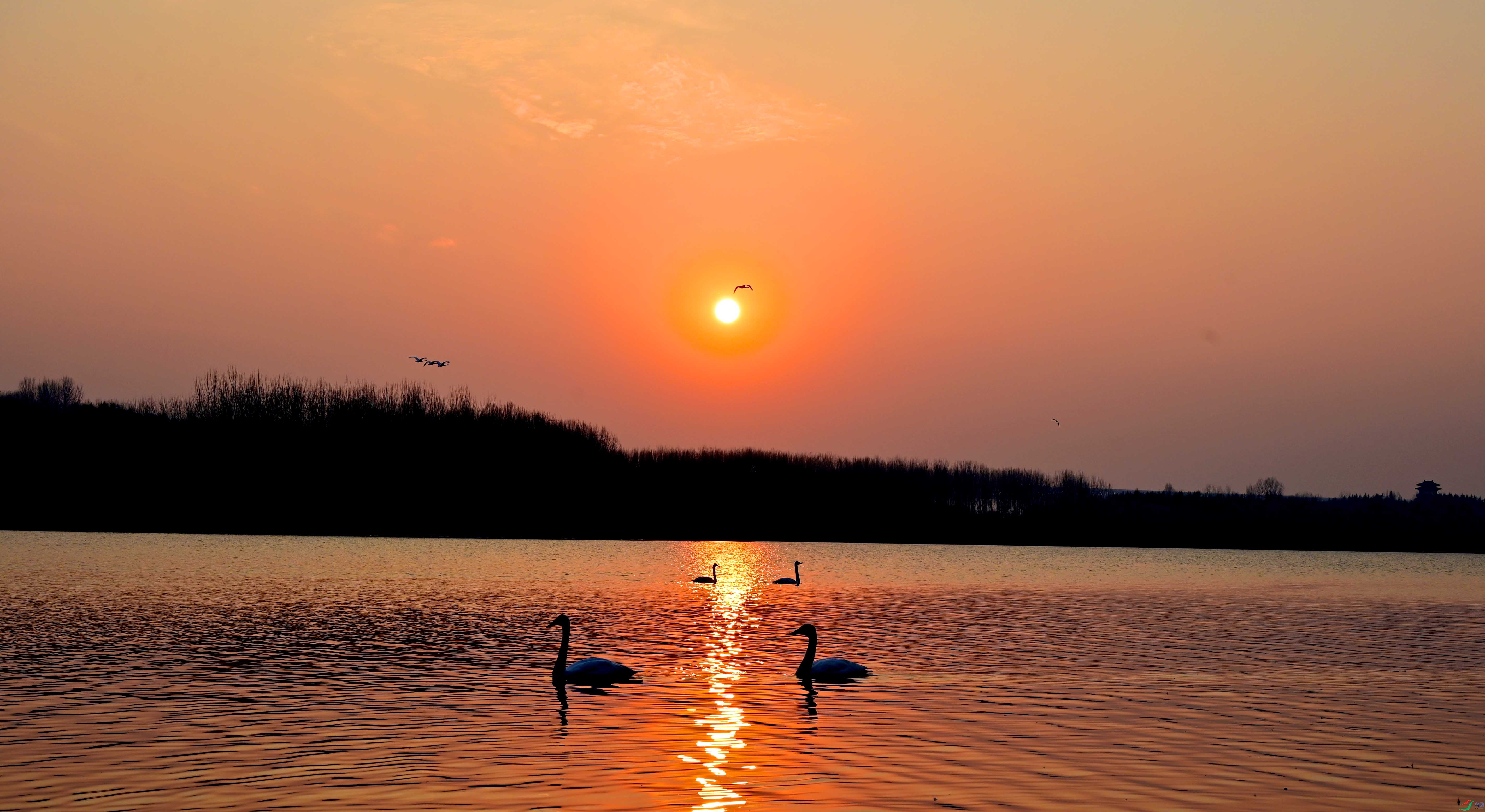 RGB_7516 ����.jpg