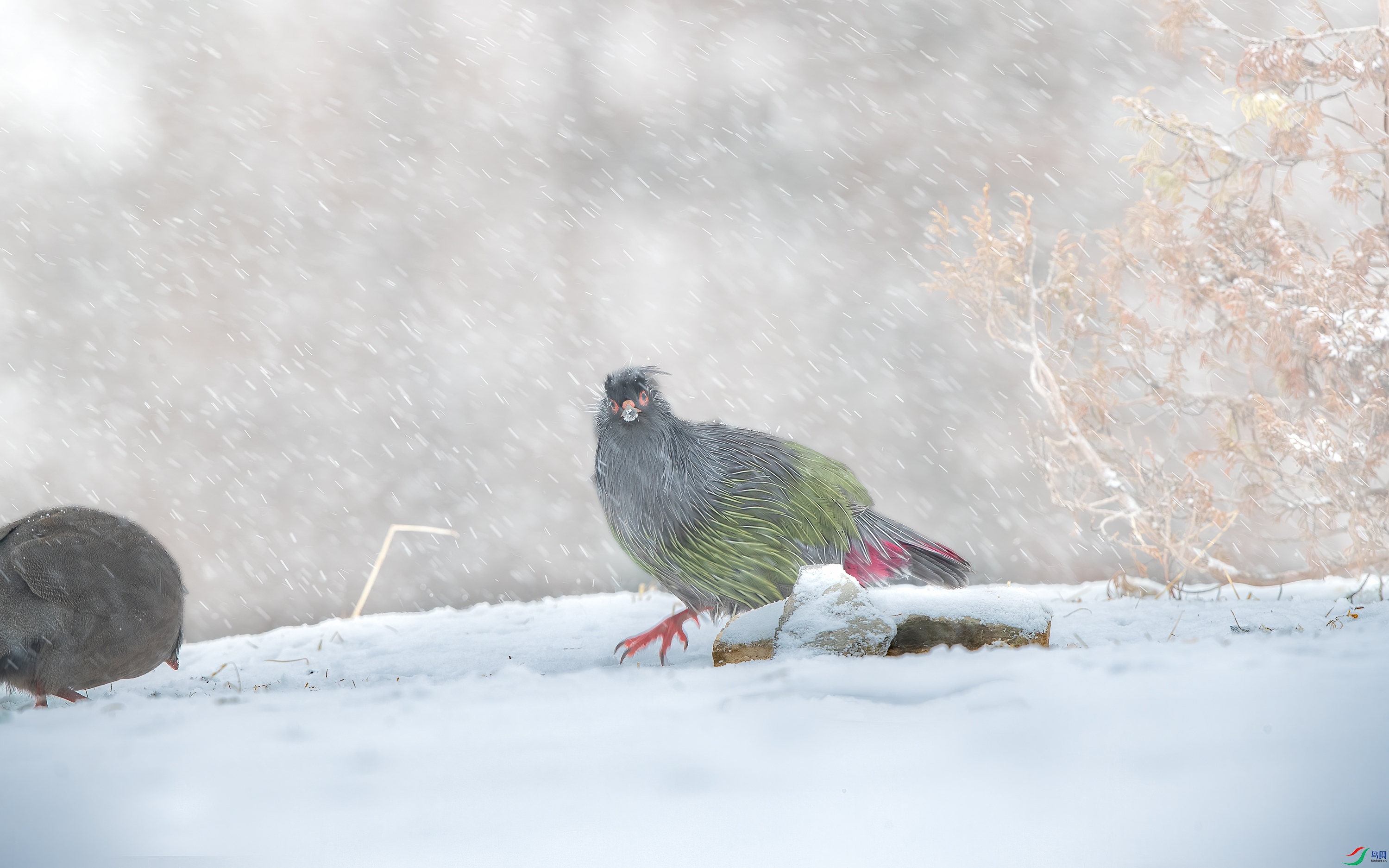 AY8I0426 ����.jpg