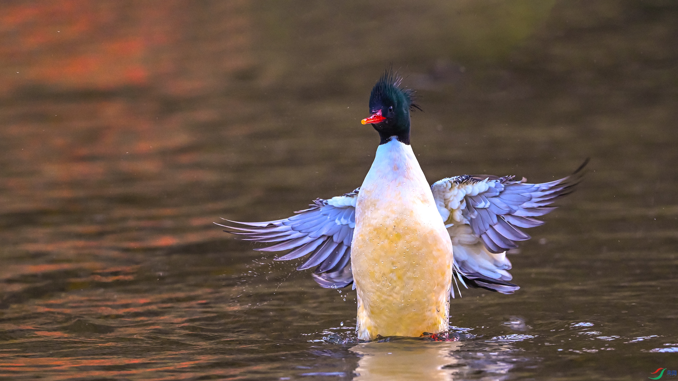 0682 ����.jpg