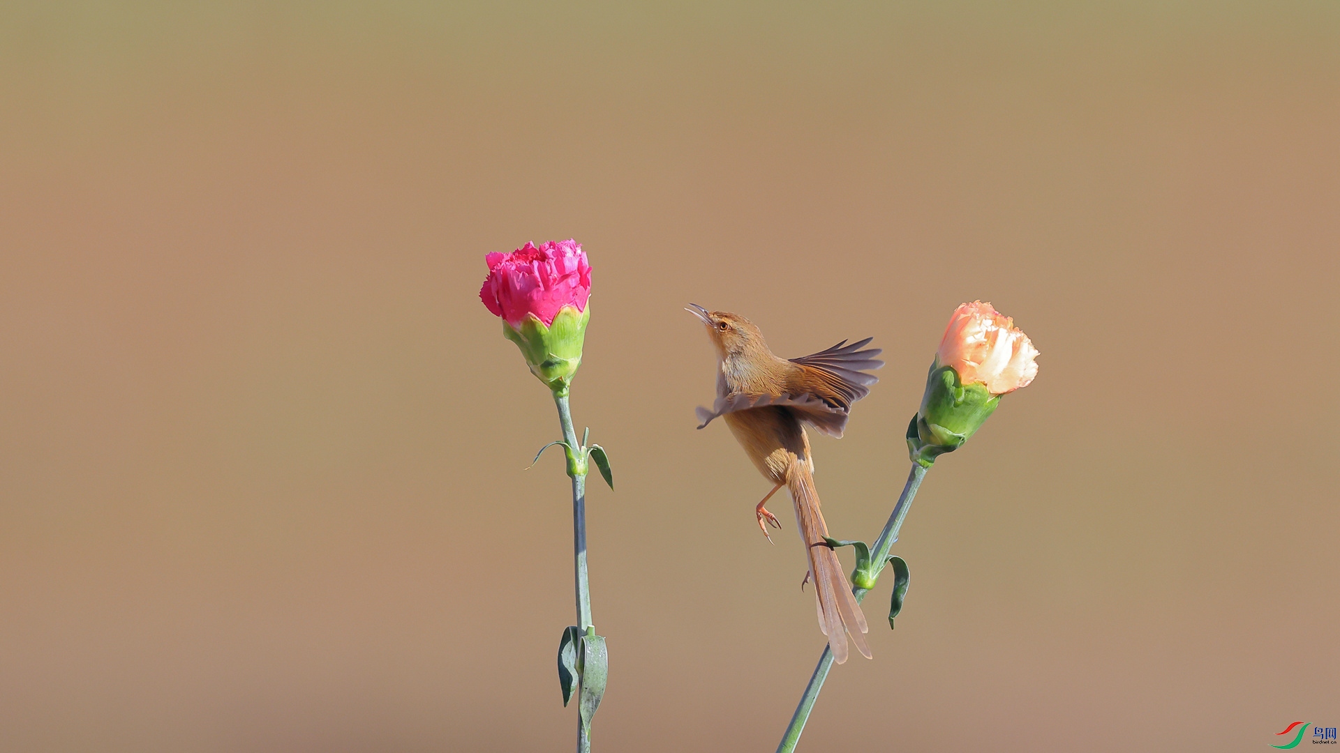 1M6A8579 ����_����.jpg