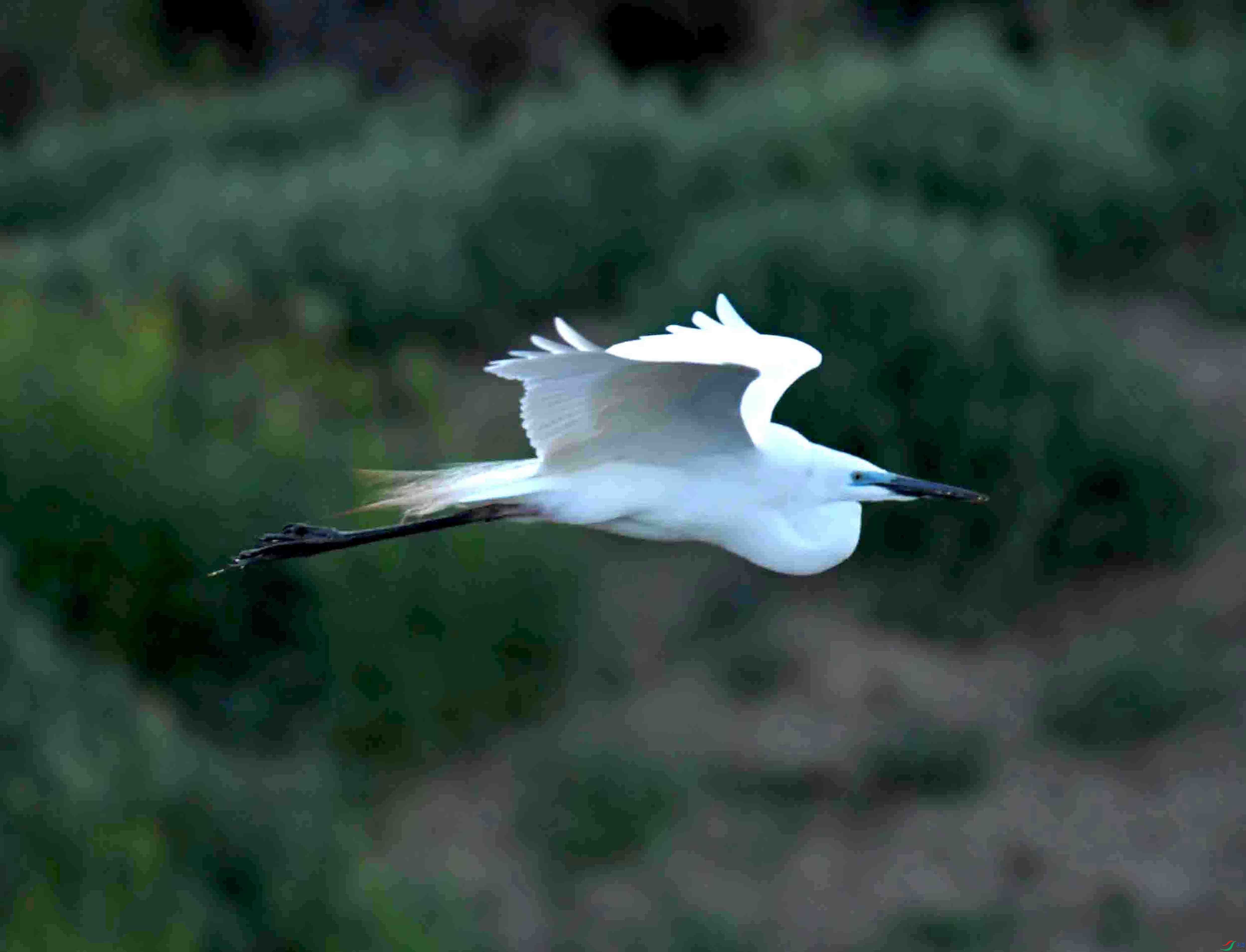 DSC_7201.JPG