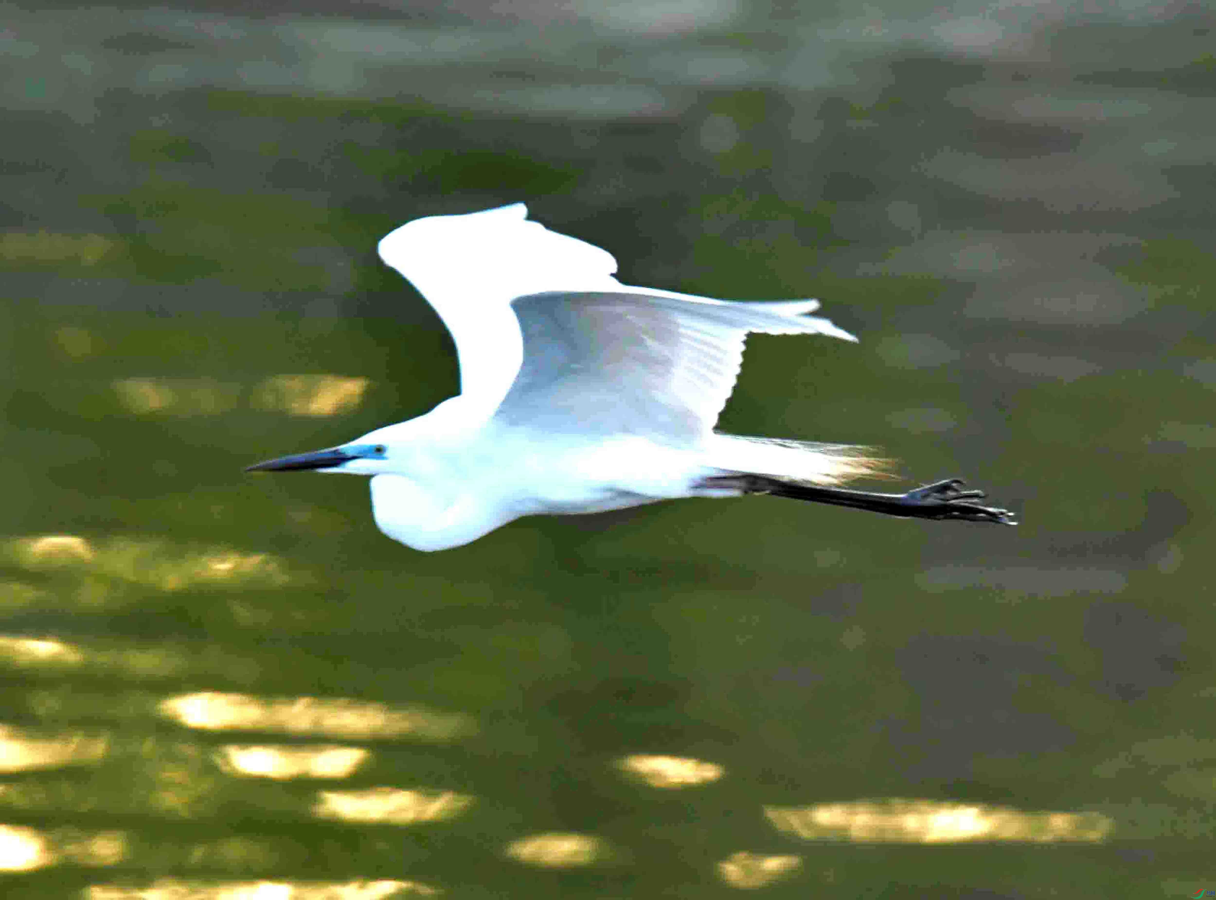 DSC_7207.JPG
