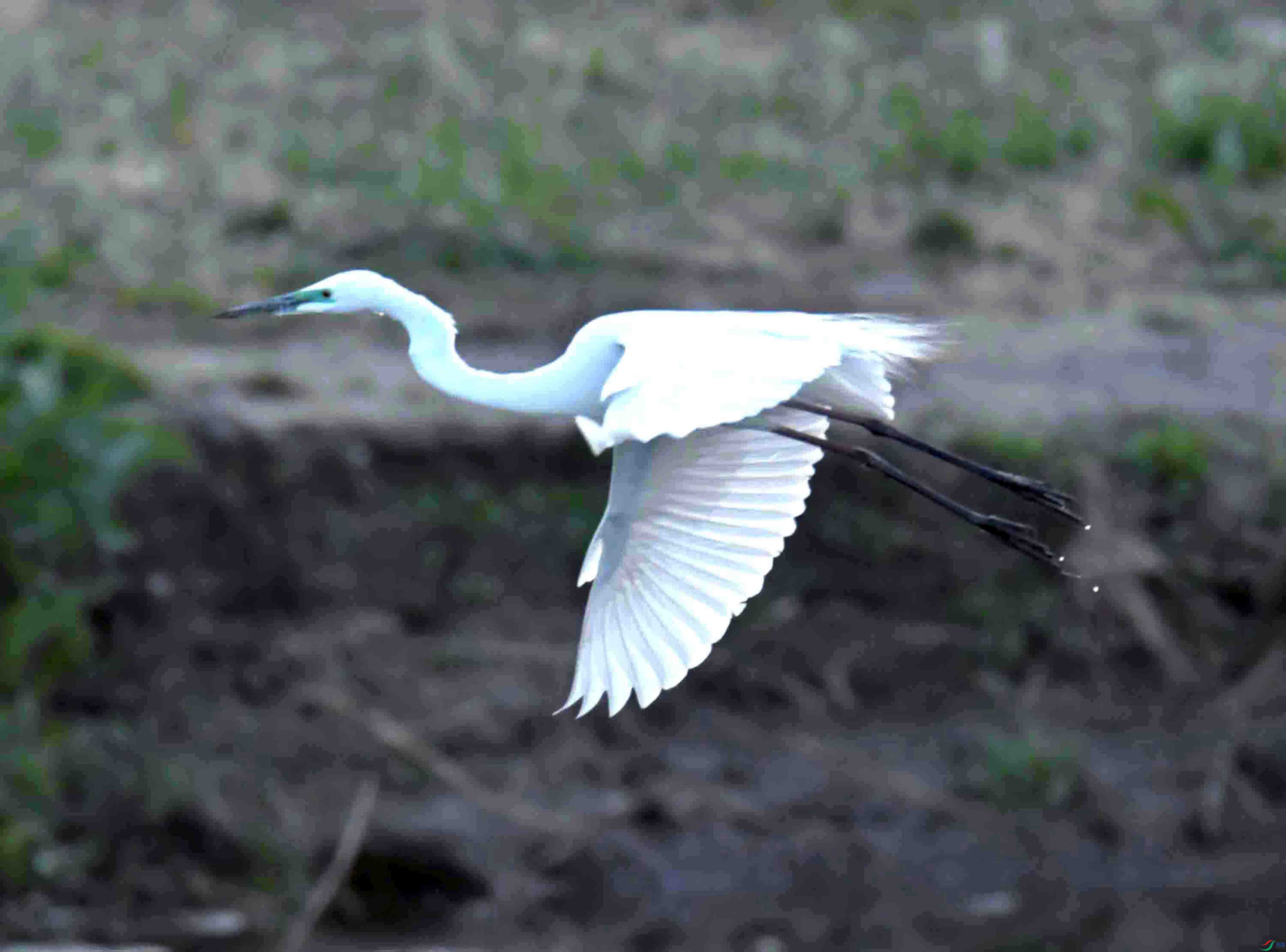 DSC_7214.JPG