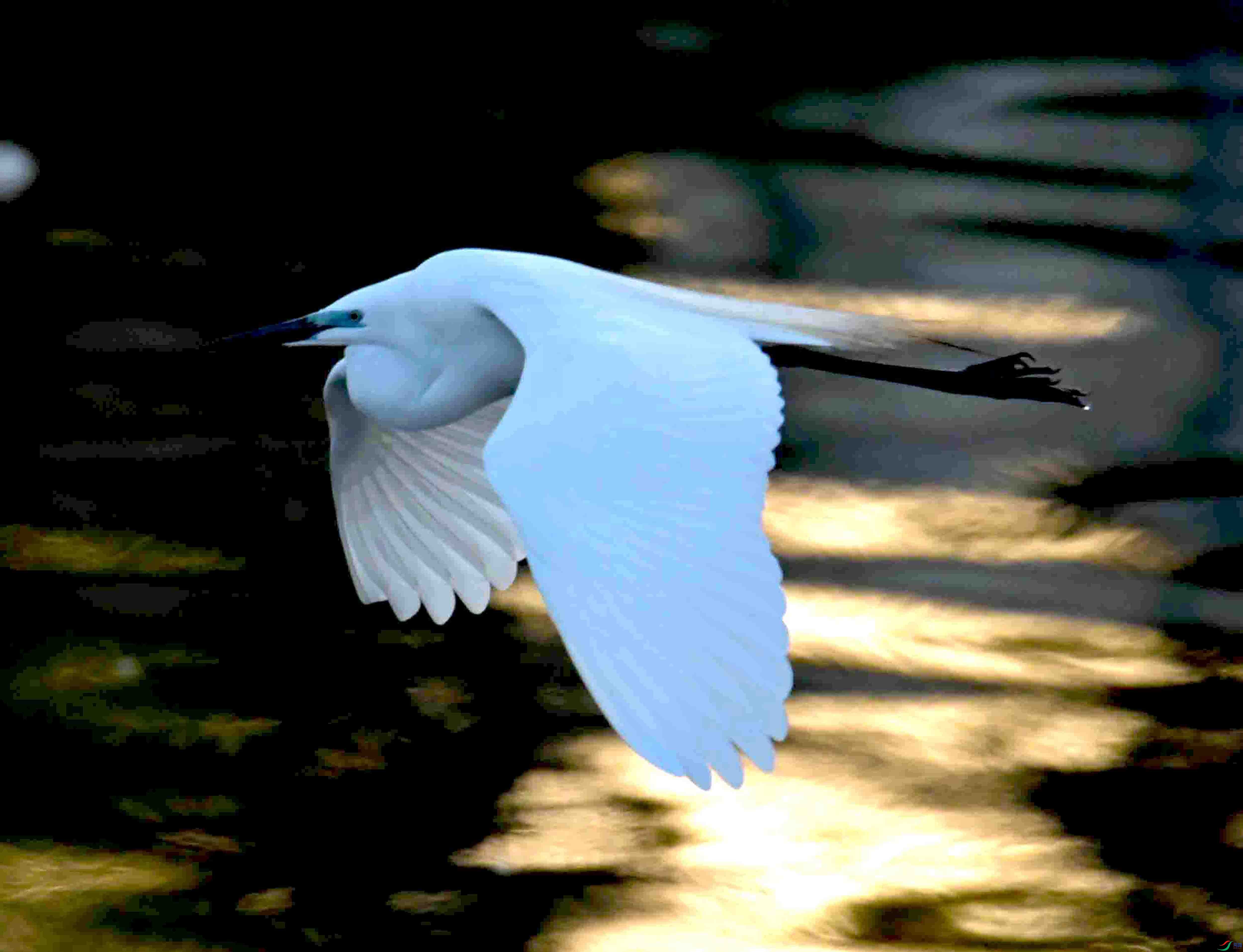 DSC_7210.JPG
