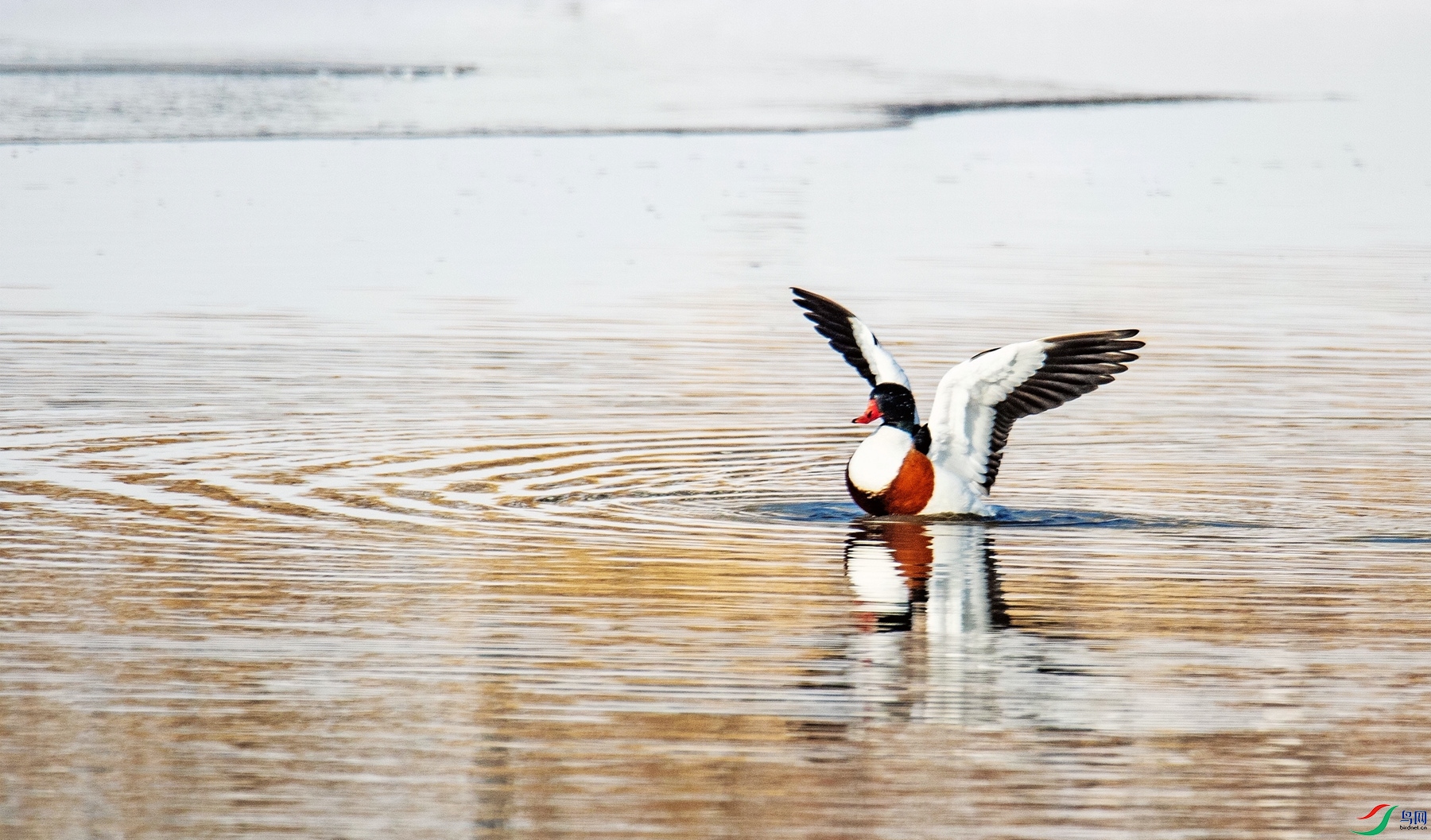 ���� (2).jpg