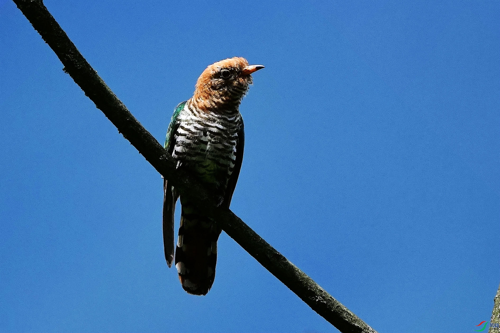 DSC_6210_����.jpg