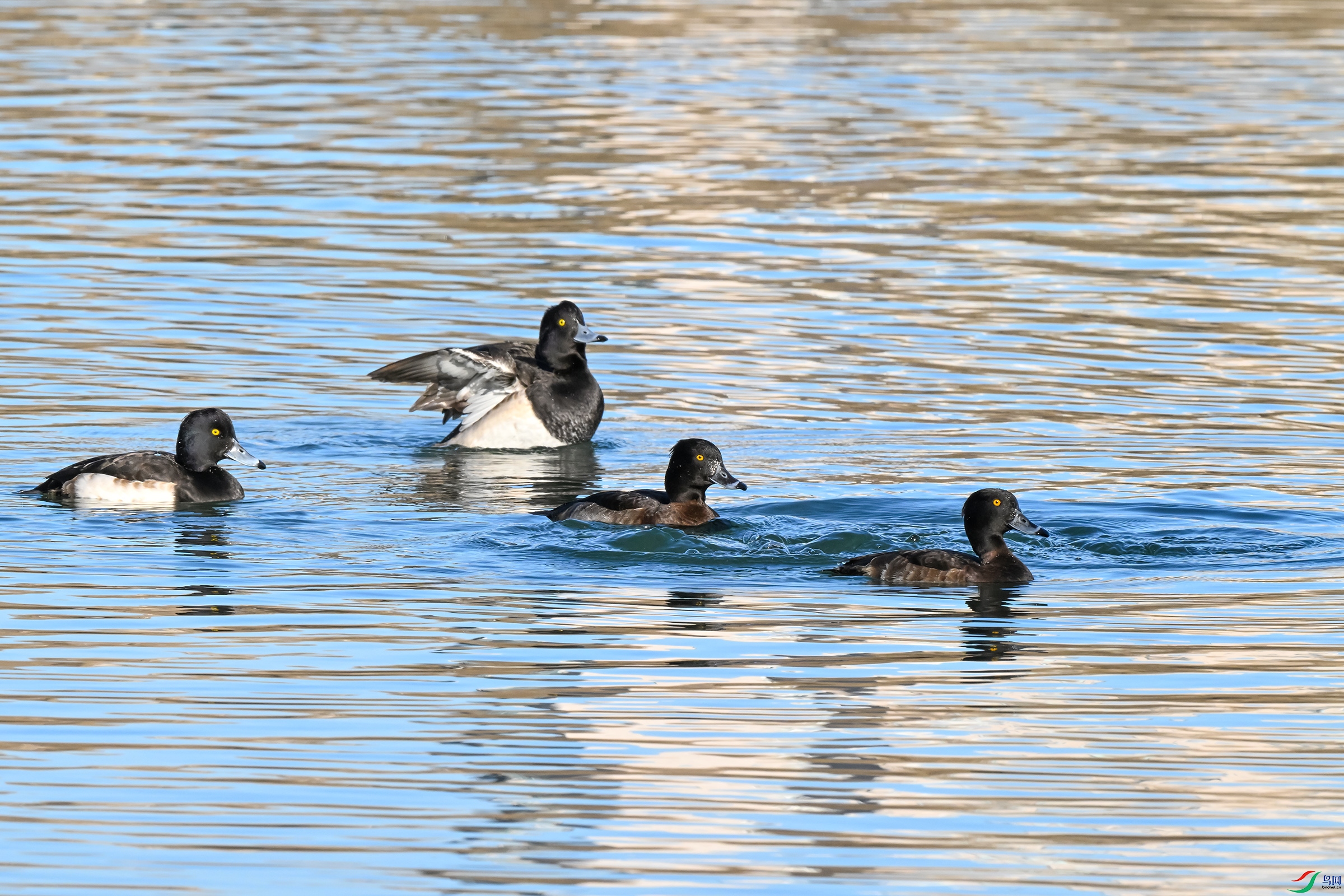 DSC_6351.JPG