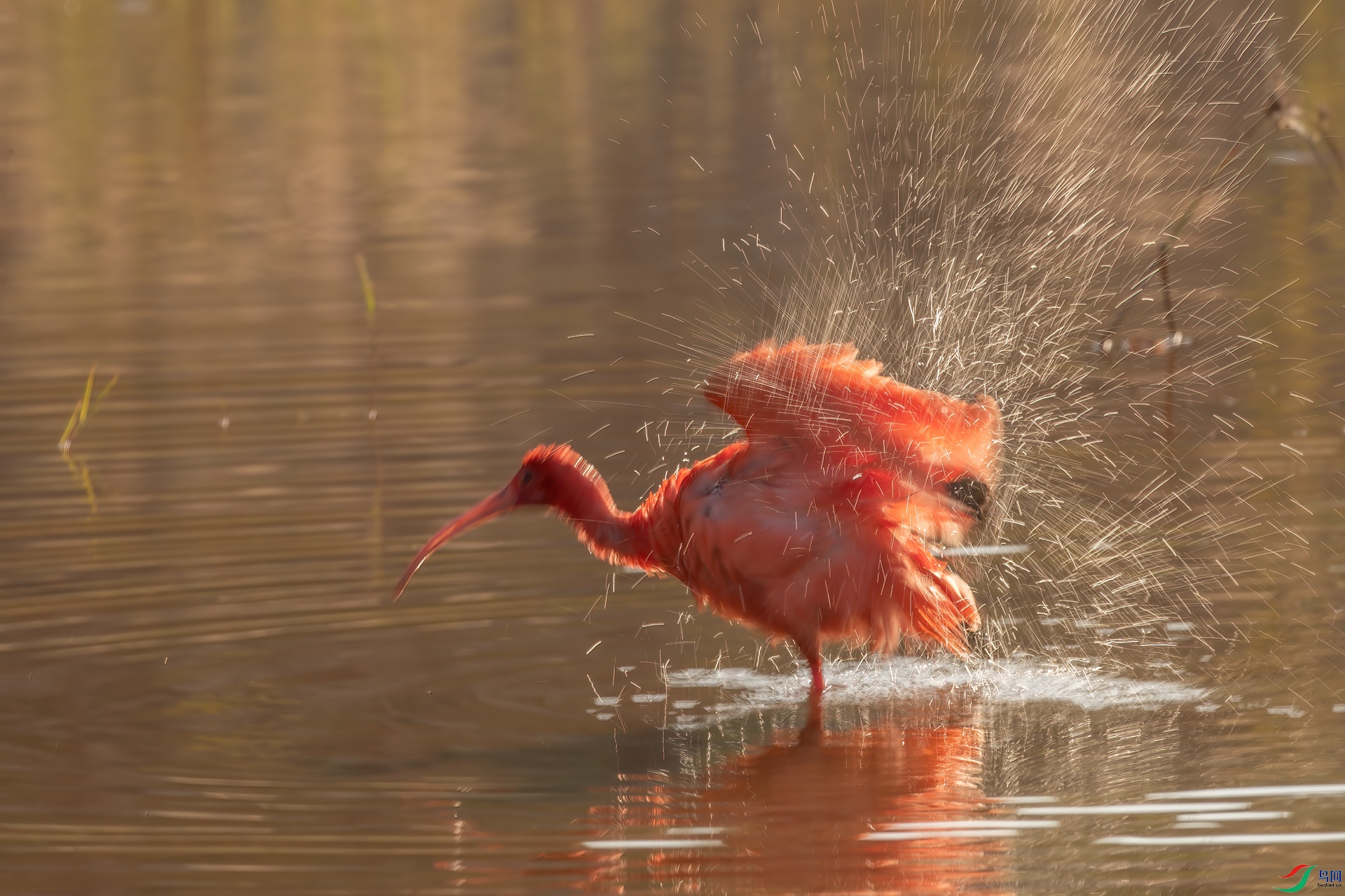 B86I3645 _����.jpg