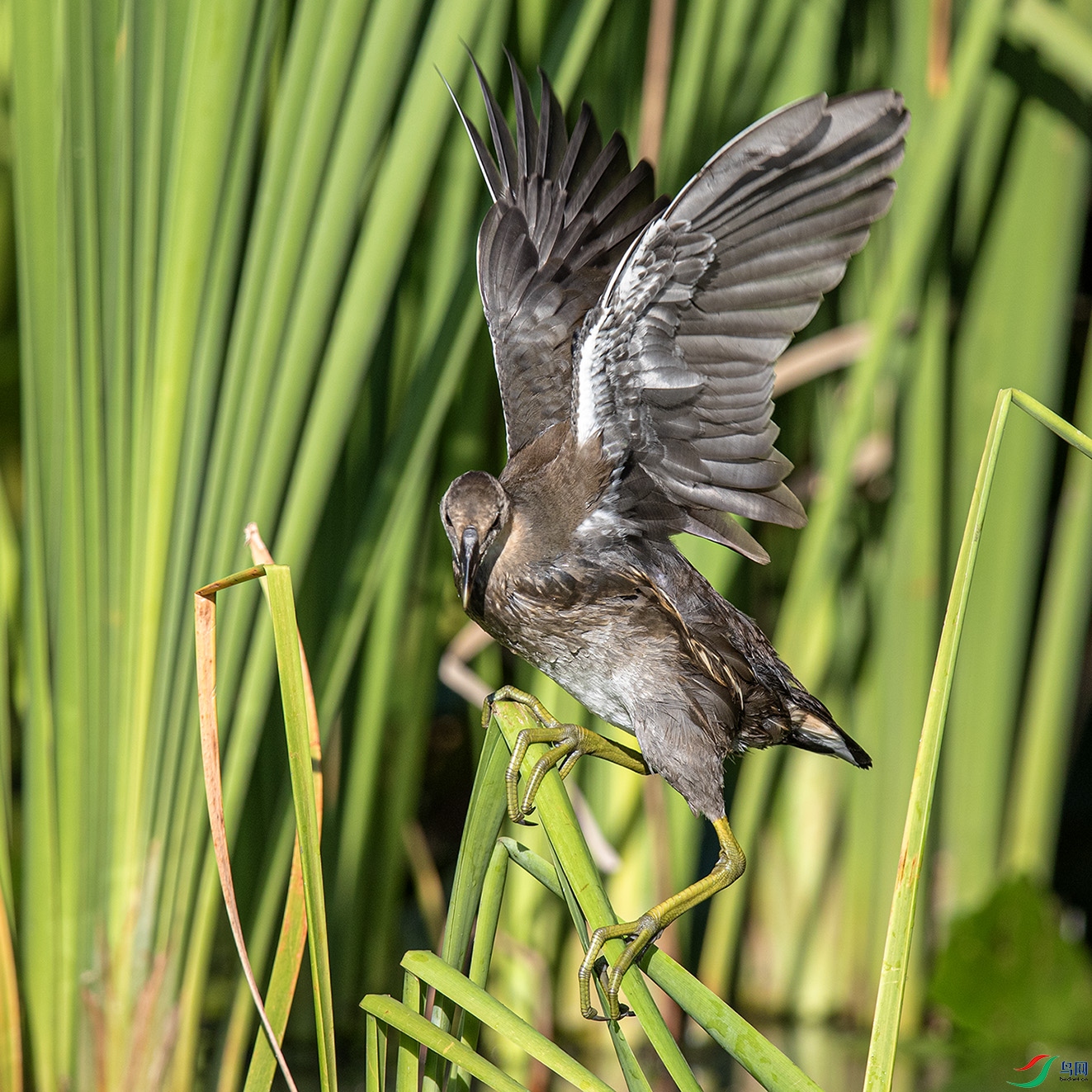 _90I4835 ����.jpg