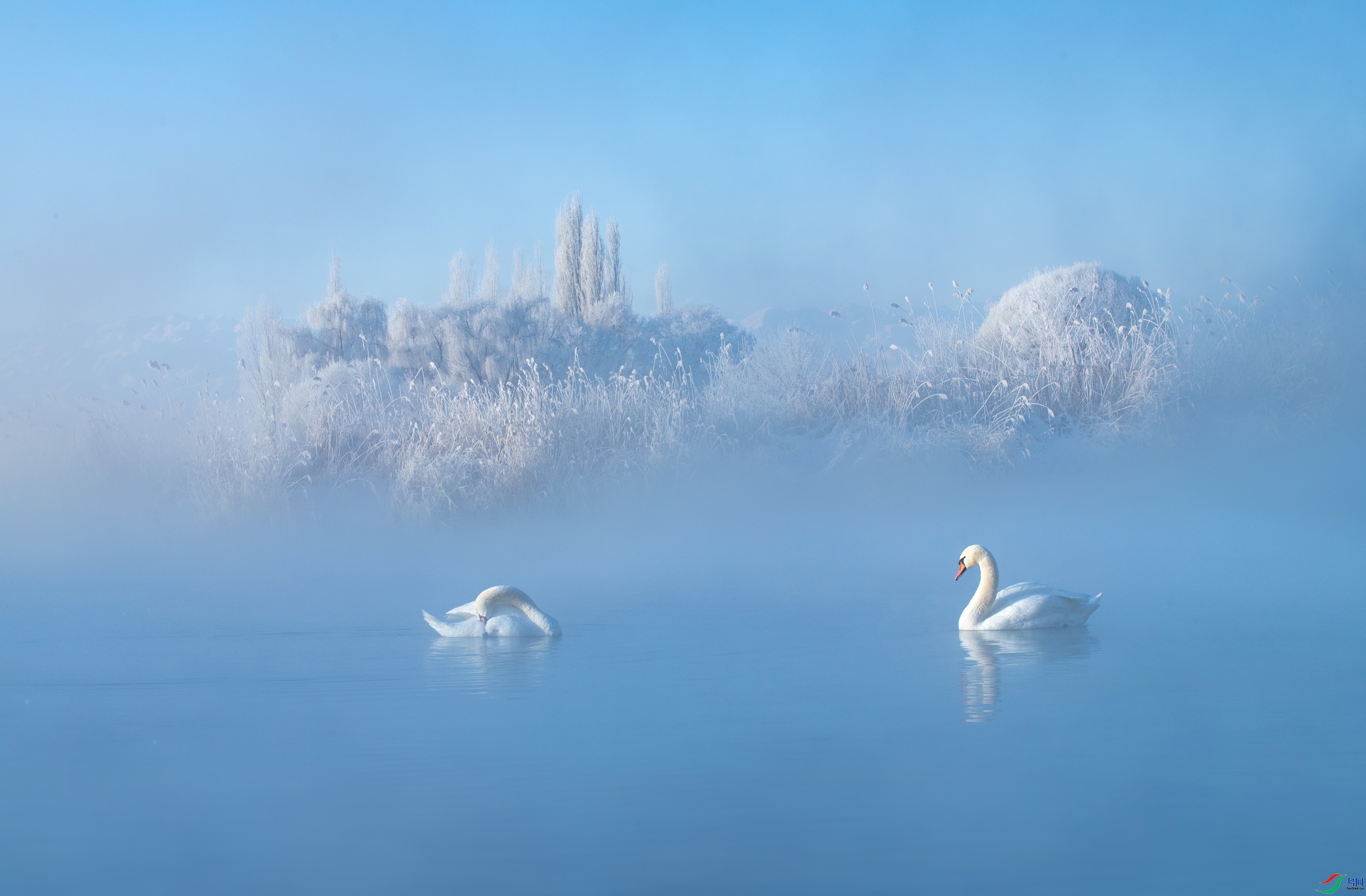 ÿ��һͼ  �λ���  ���� ��Ͽ֮�� ����.jpg