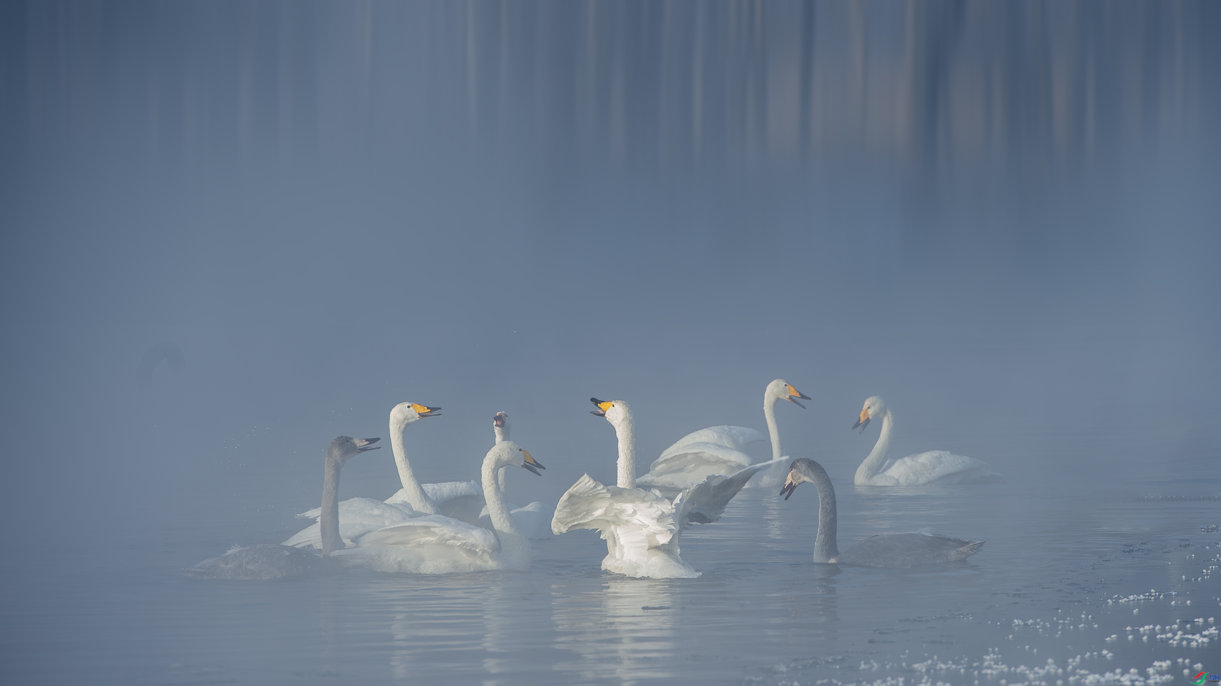 С�ϳ� ���� ľ�� ��һ.jpg