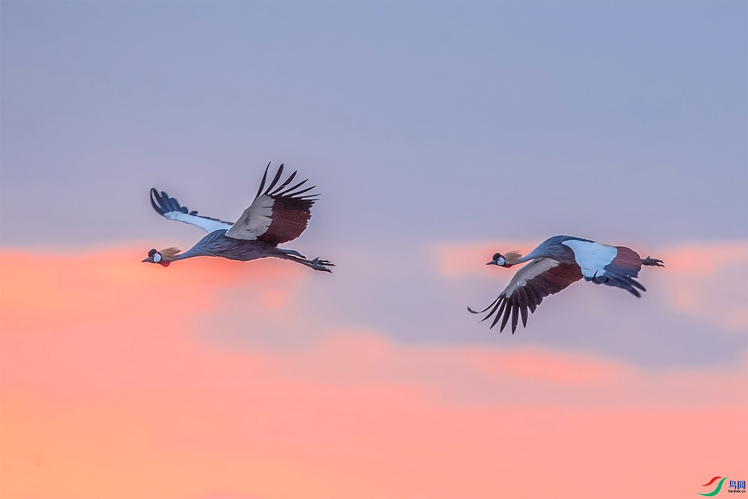 ϲӭ��2024��  ���� ͧ�� ��һ.jpg