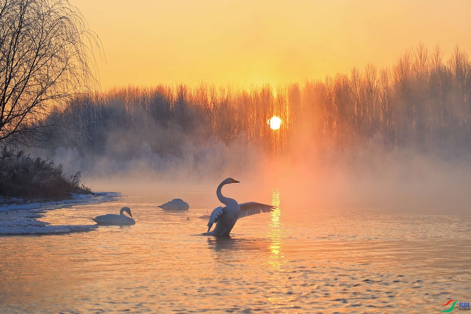 �������  ���� ��Ұ �ܶ�.jpg