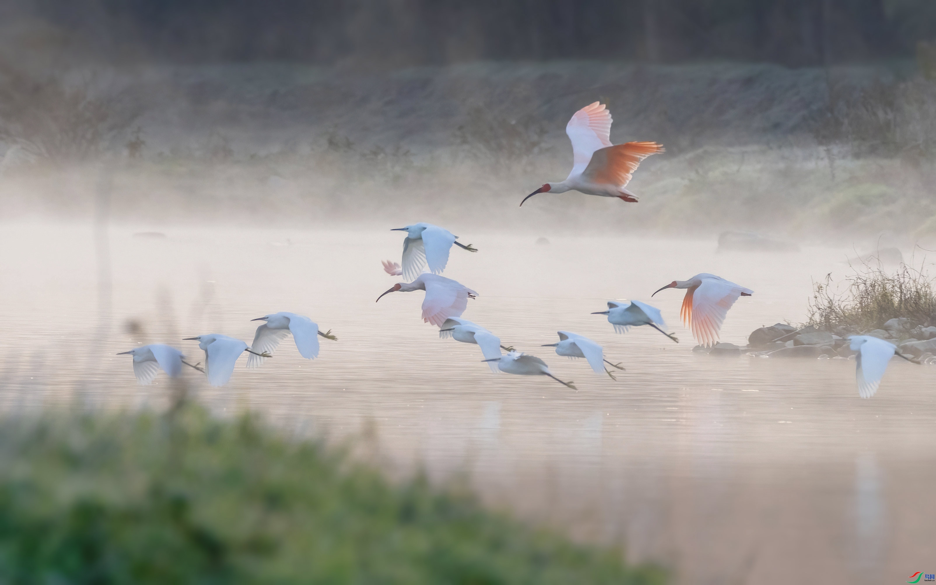 ���к�Ӱ  ���� �ܶ�.jpg