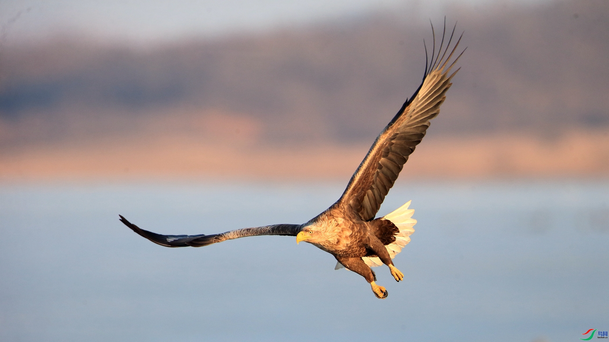 ����  ����   �ܶ�.jpg