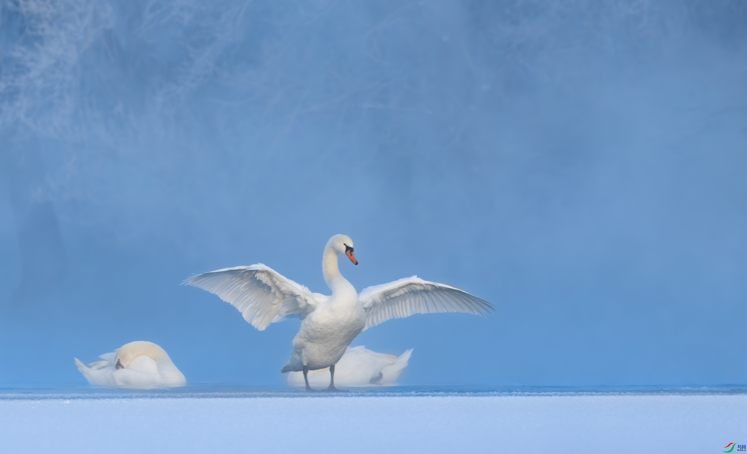 ����  ���� ��Ͽ֮�� �ܶ�.jpg