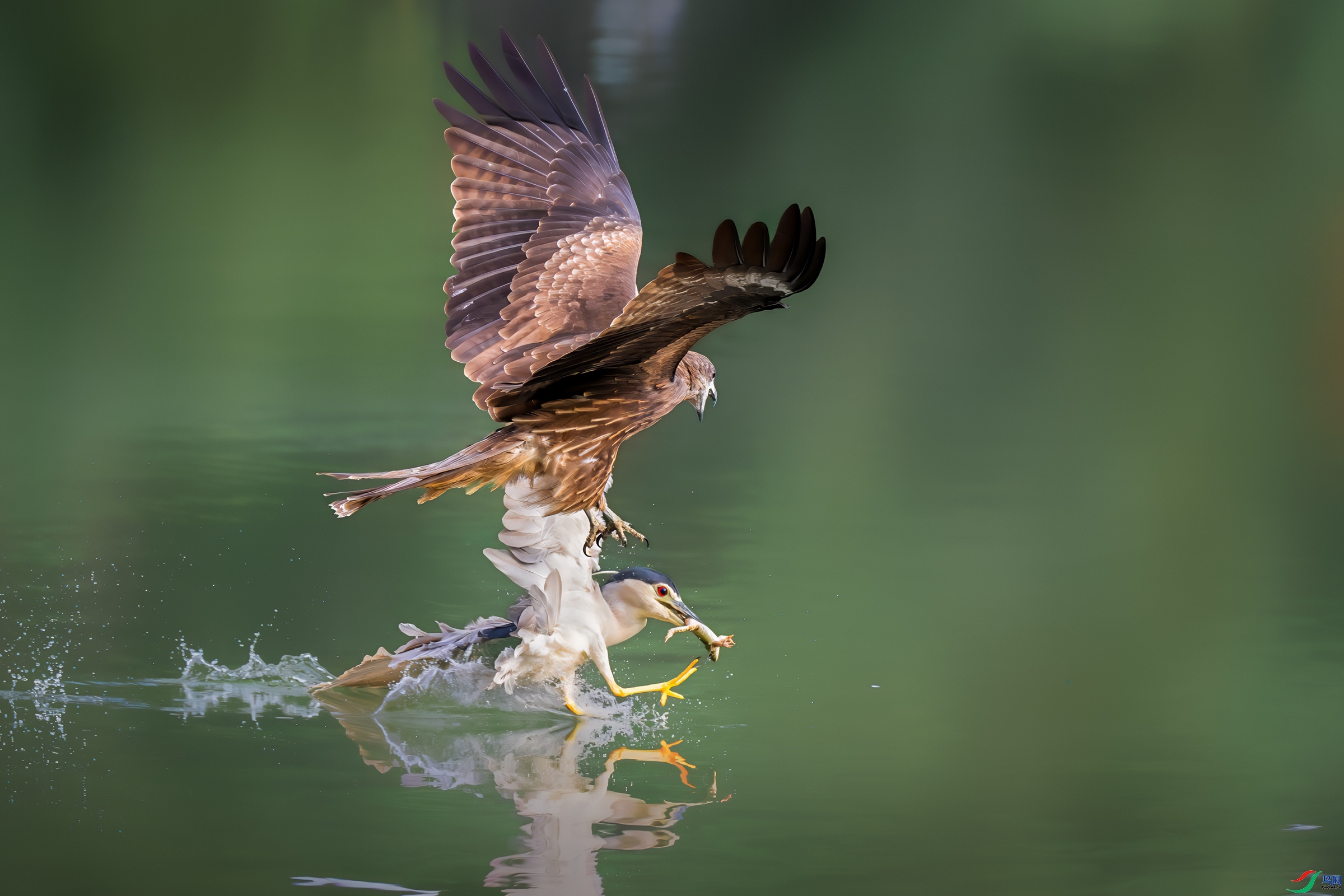 �Ӷ� ���� ����Ӱ ����.jpg