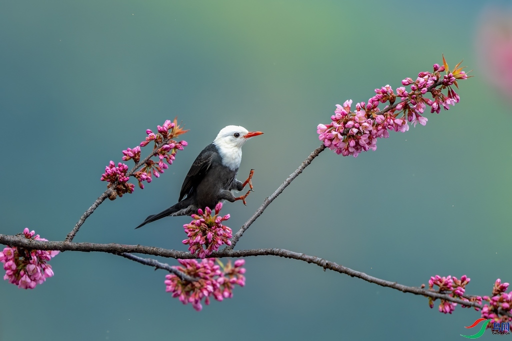 ��ͷ���� ���� ���� ����.jpg