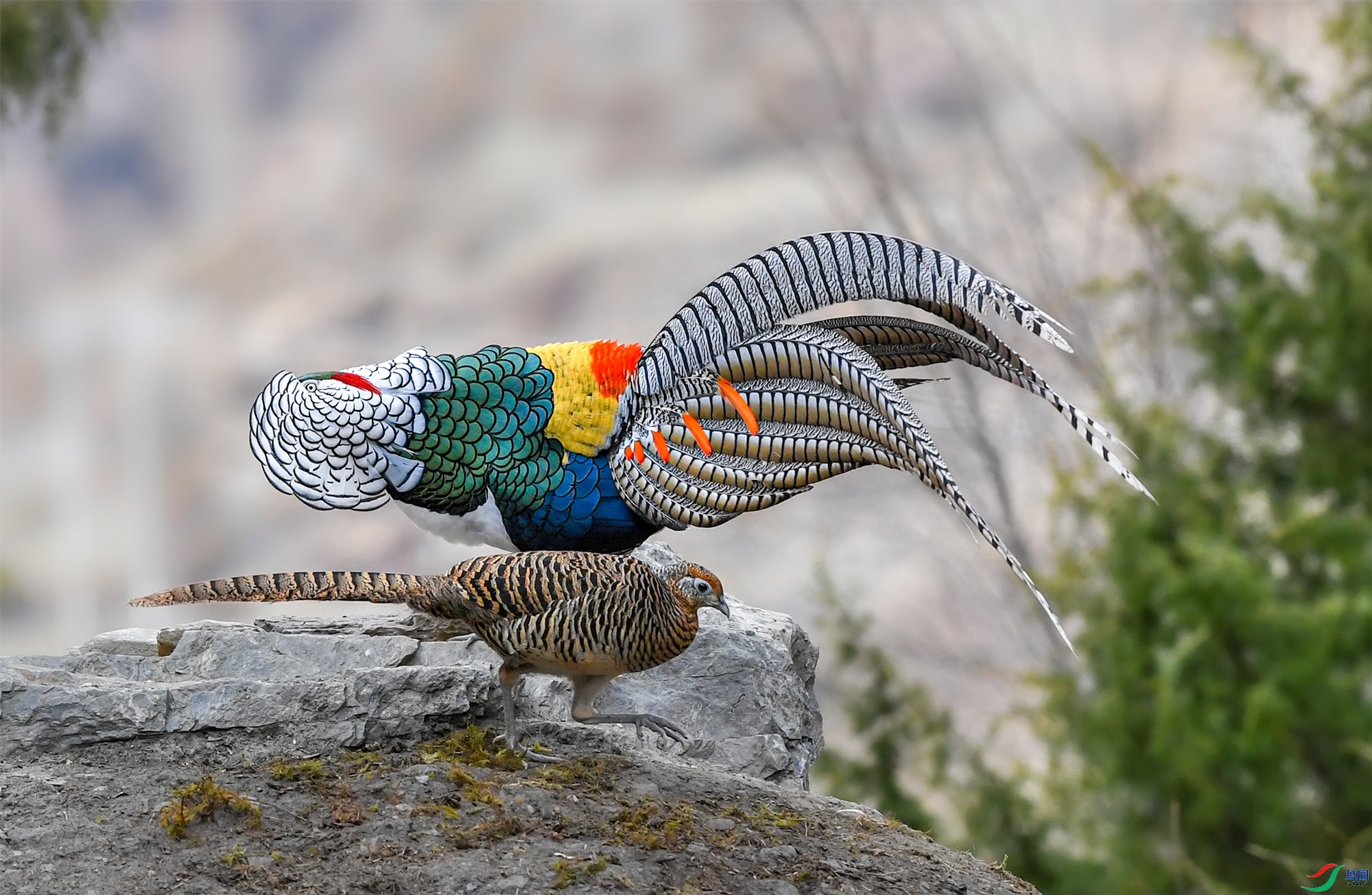 ��ż ���� ��Ͽ֮�� ����.jpg