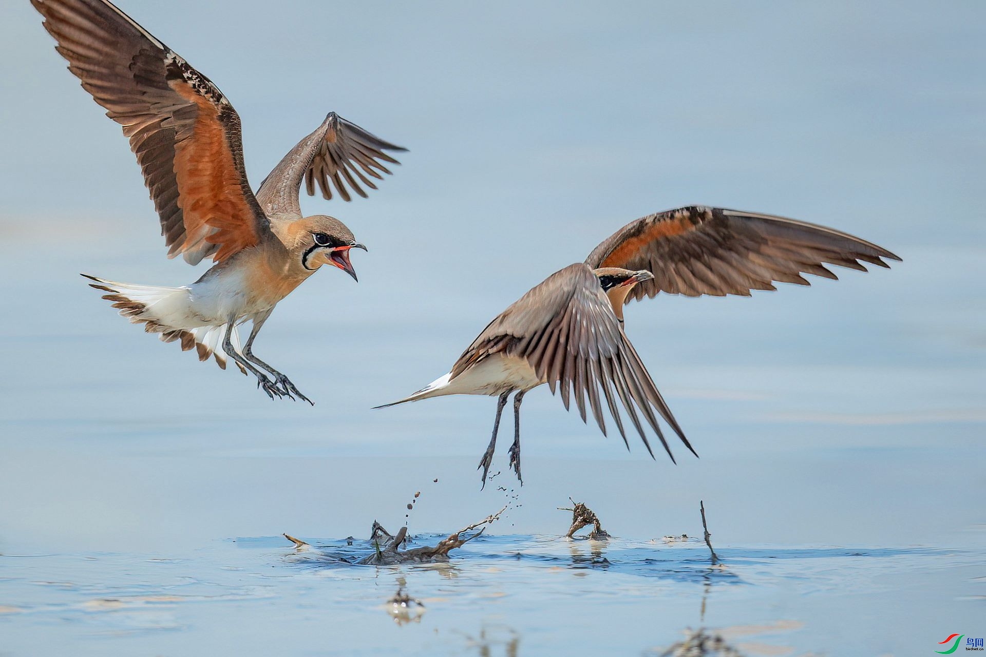 ��ͨ���a��׷ ���� ��ѧ�� ����.jpg