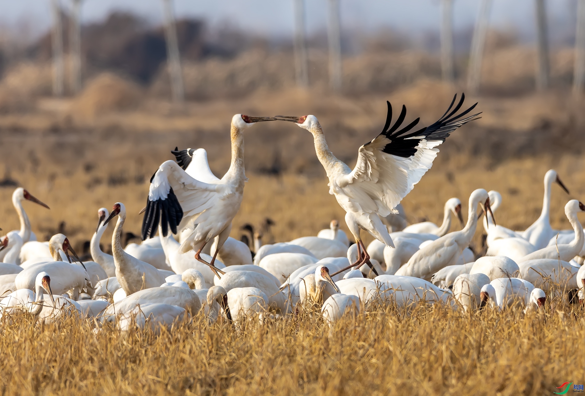 ���� ���� л���� ����.jpg