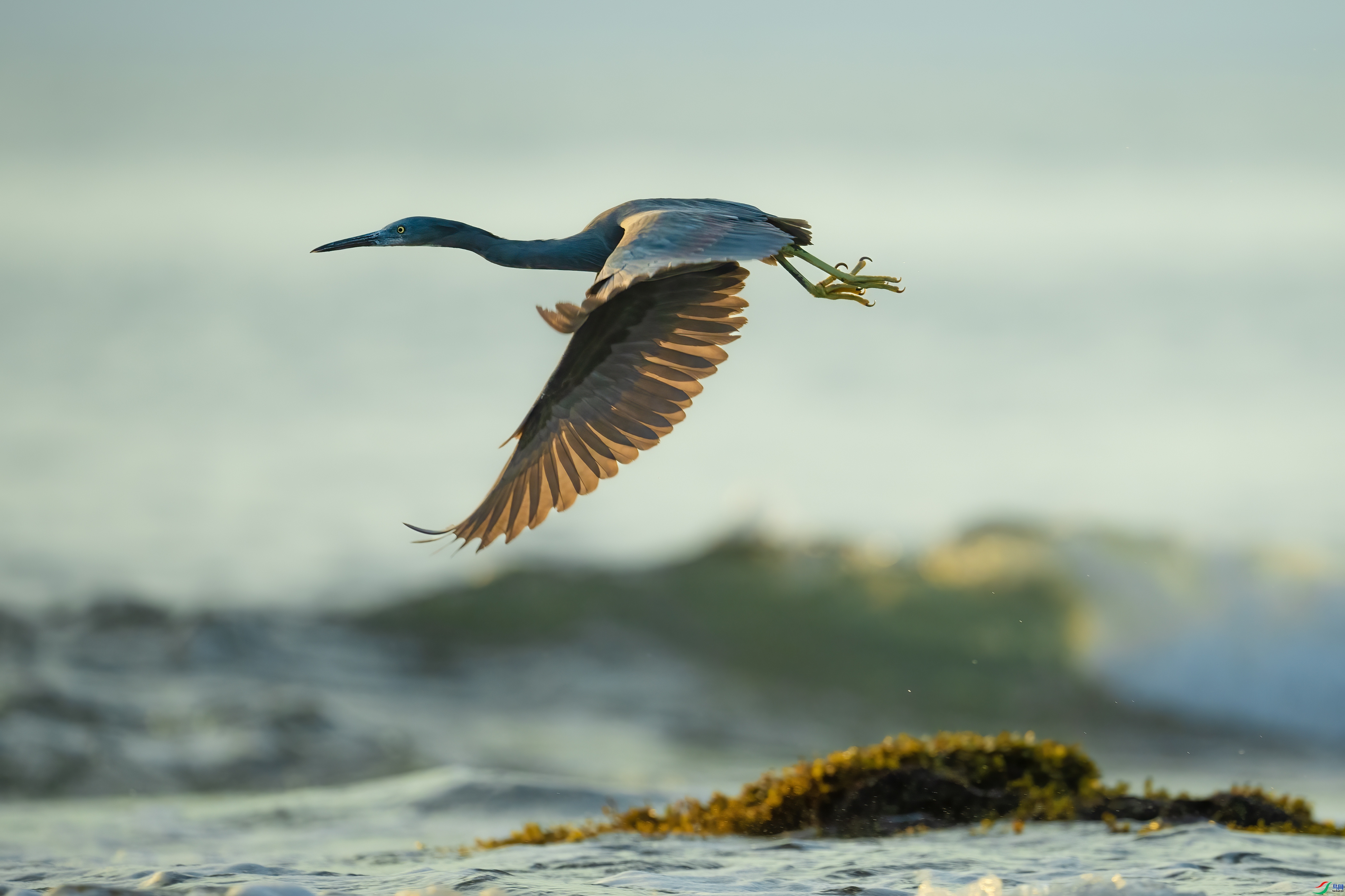 Ѳ�� ���� ����·  ����.jpg