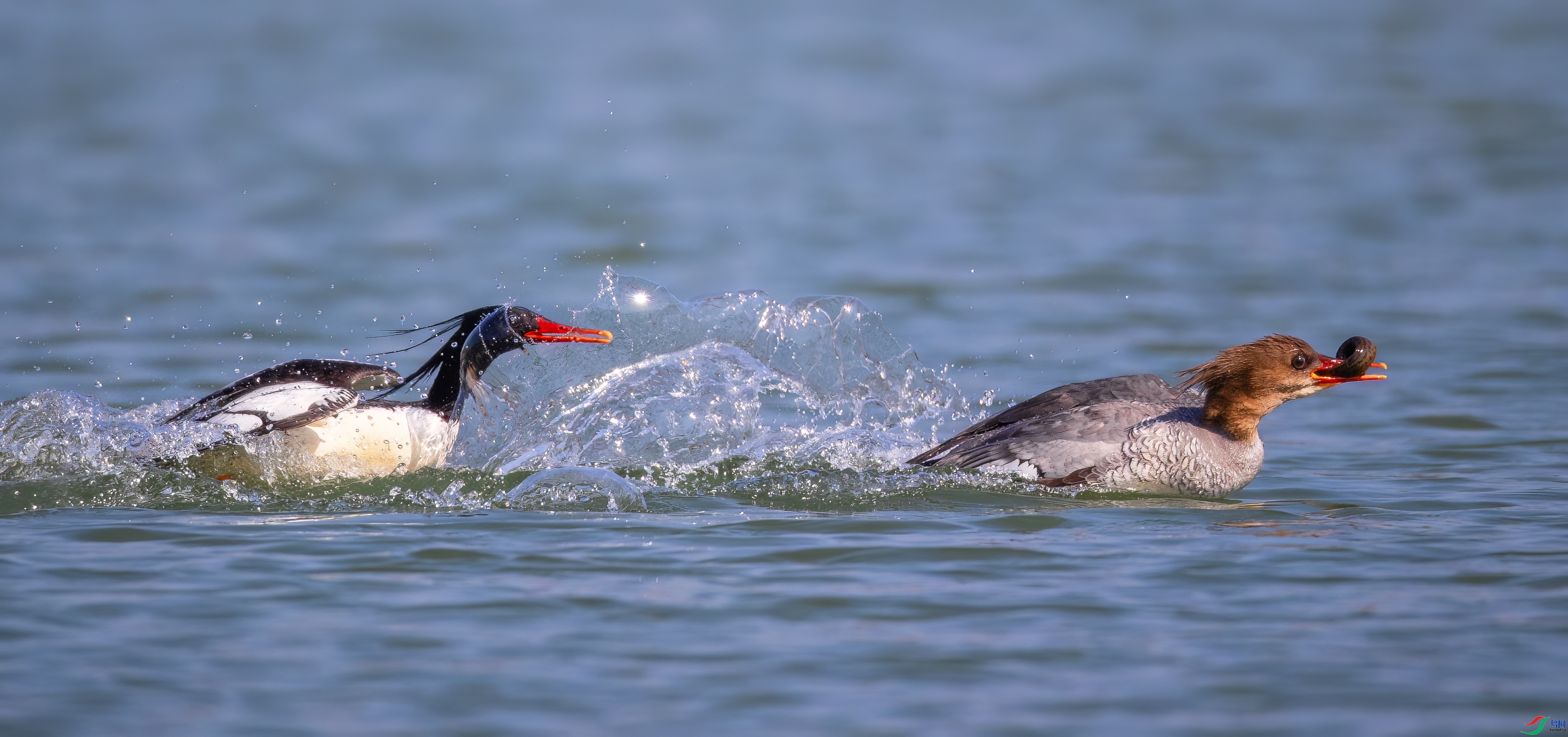 ׷��  ���� �ܷ� ����.jpeg