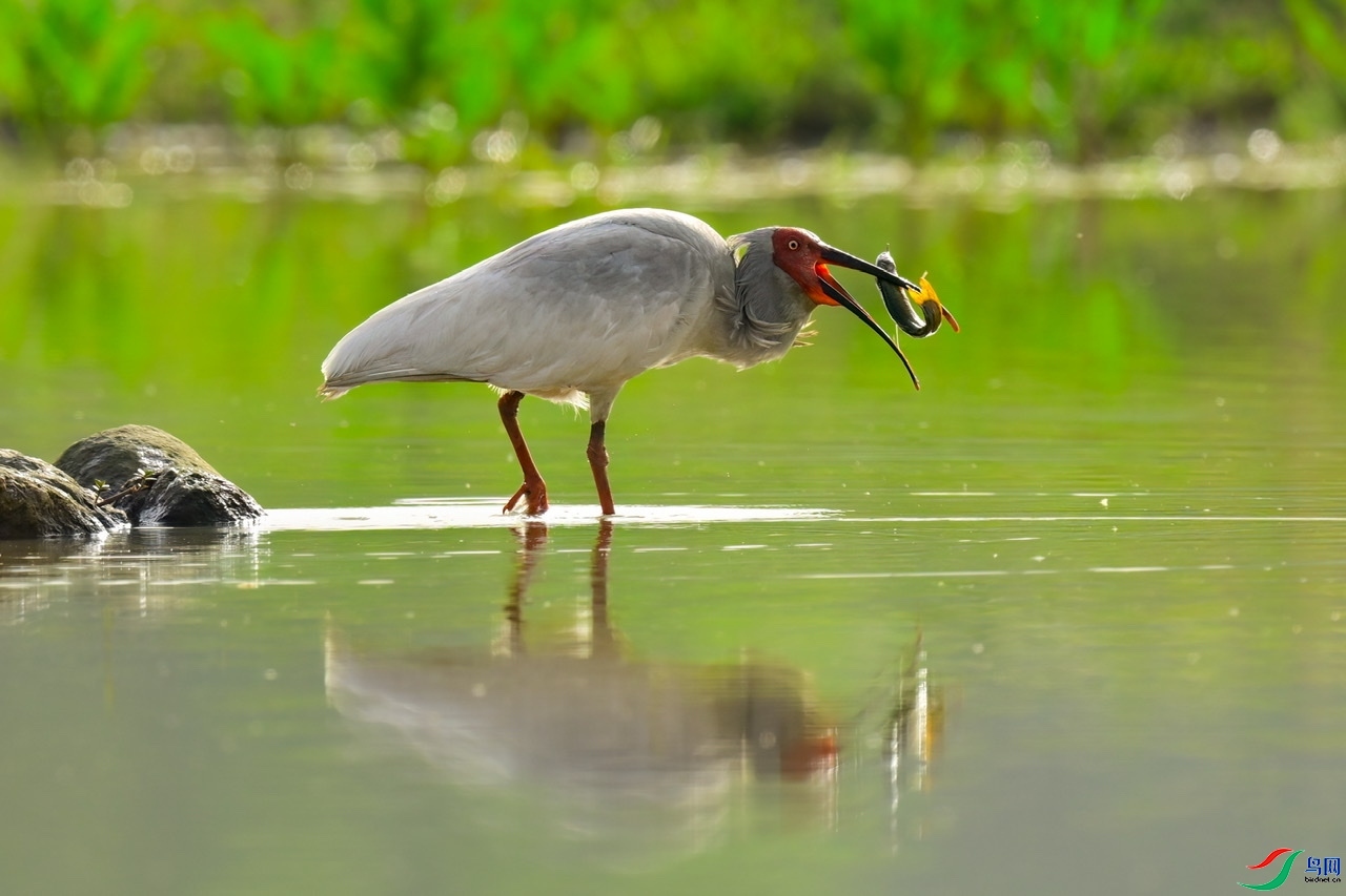 ��ζ ���� ����.jpeg