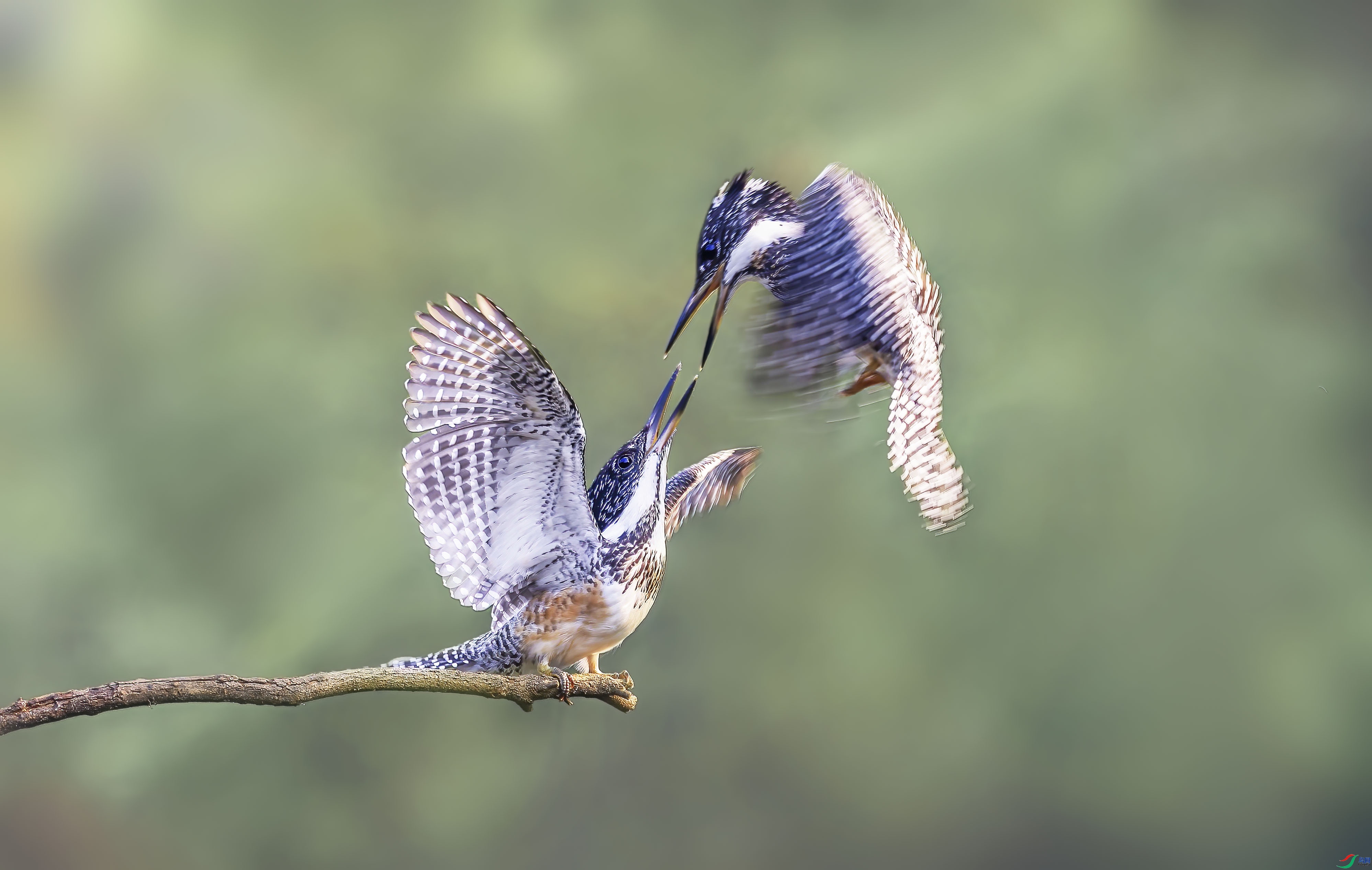 ����  ���� �ܸ�  ����.jpg