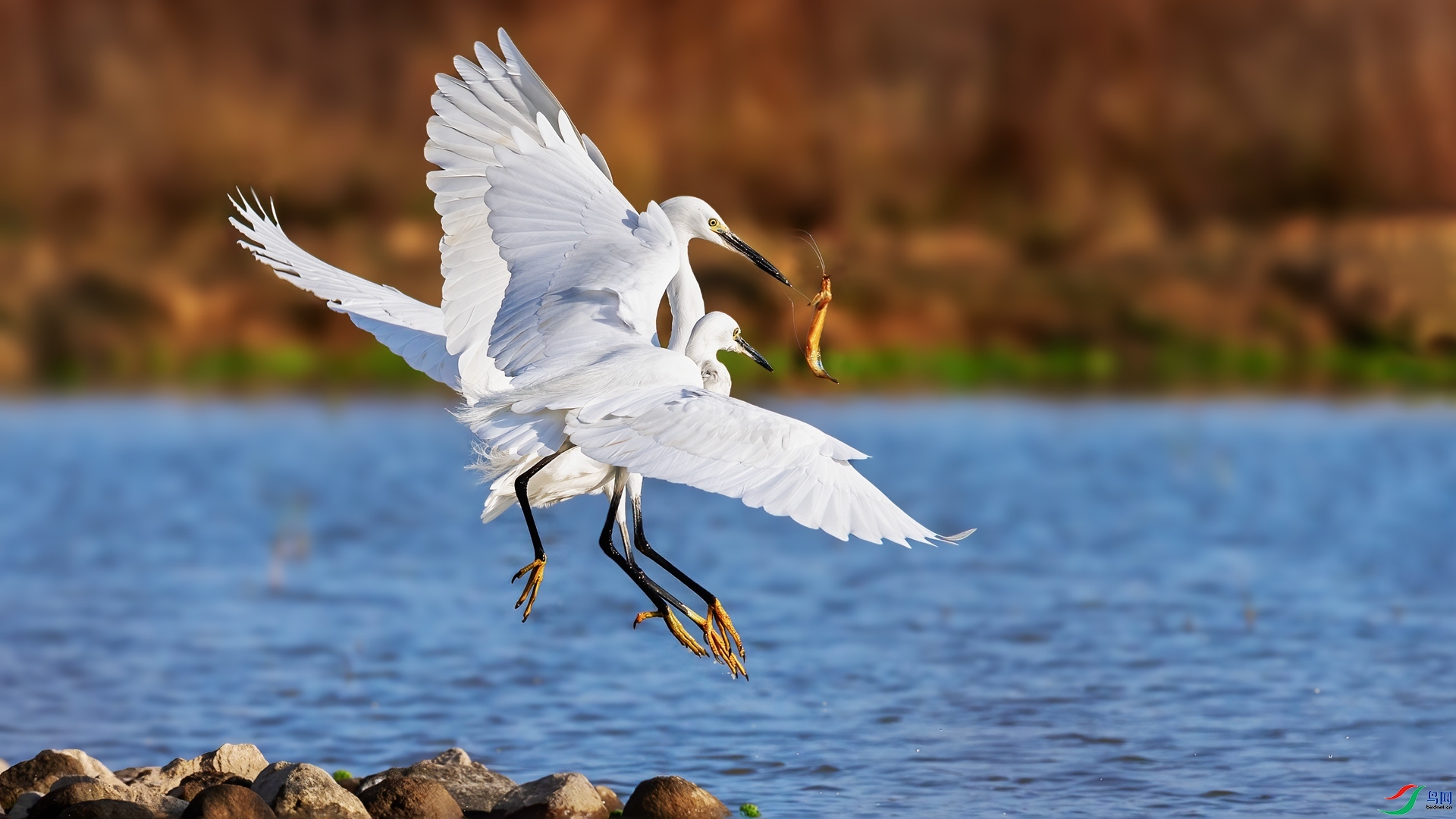 ���������  ���� ��־����  ����.jpg