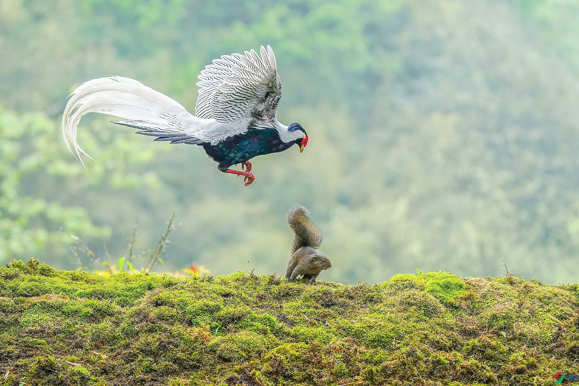 �����ս  ���� ��ѧ�� ����.jpg