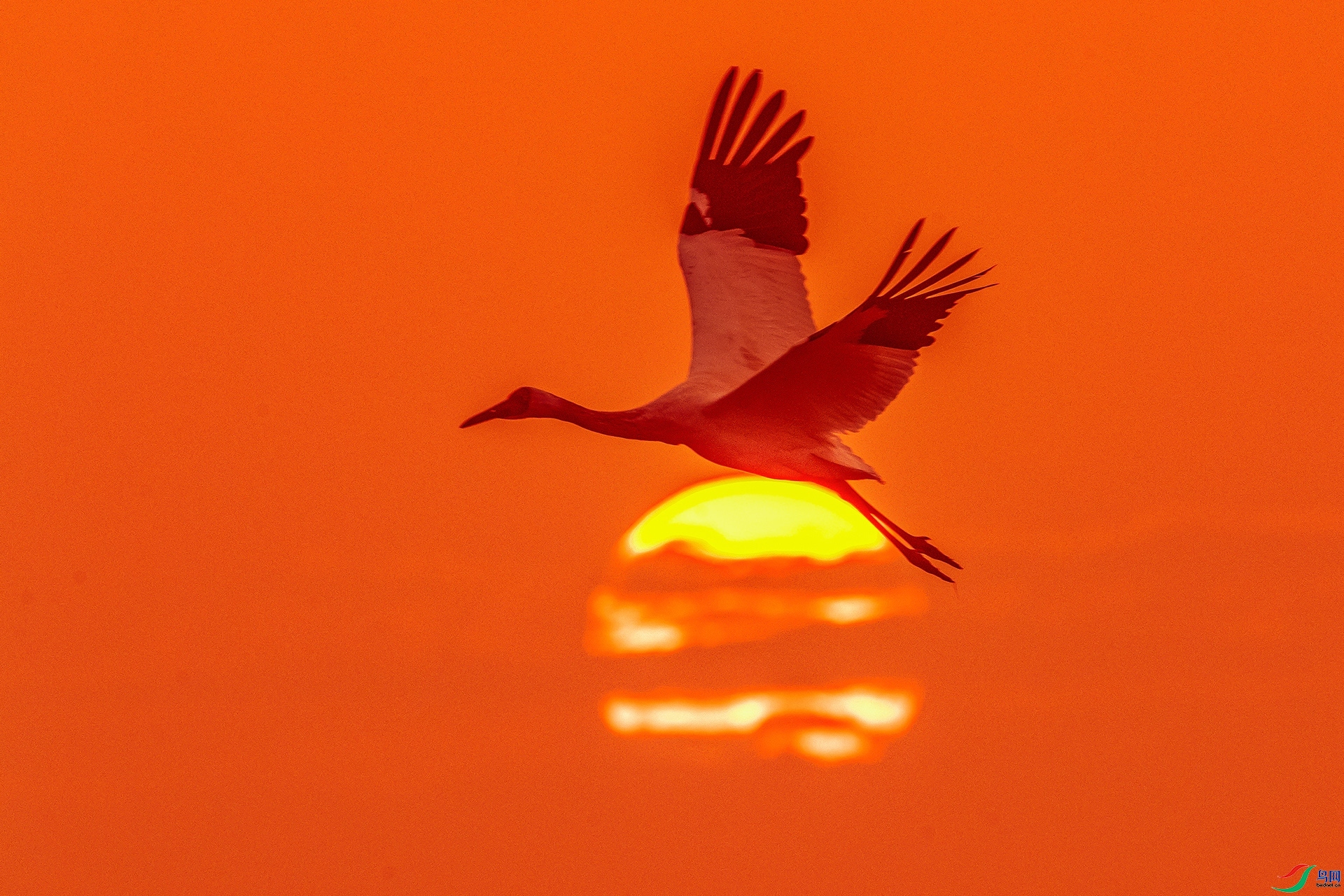 �������� ���� ����ǿ ����.jpg