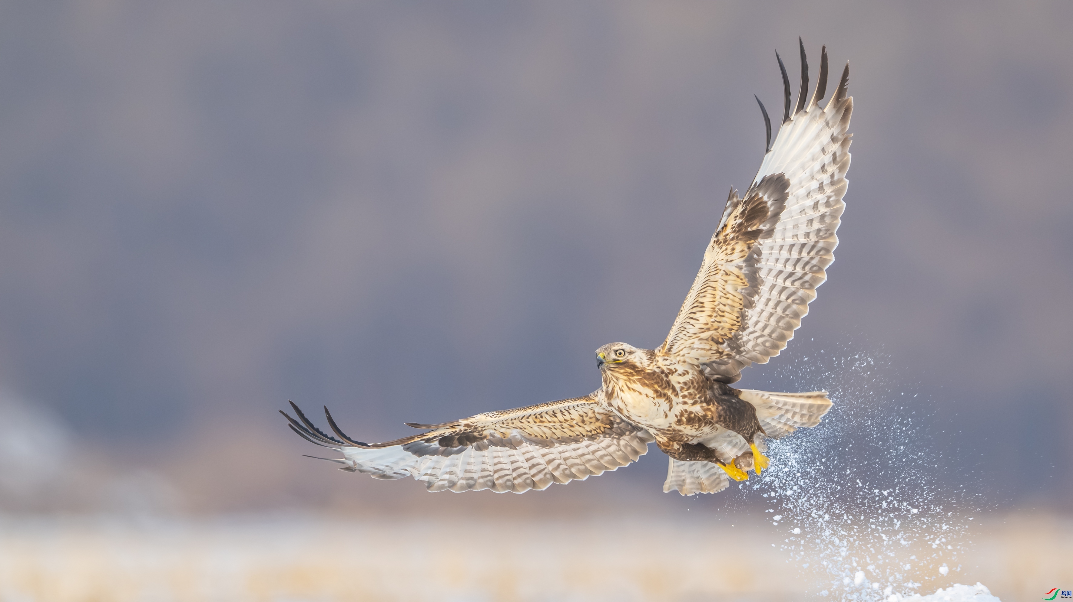 չ��߷� ���� ������ͷ ����.jpg