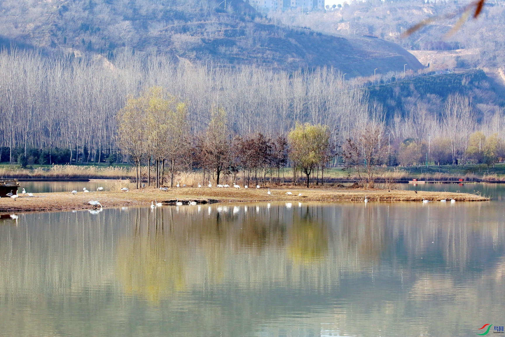 BG3A2822_����.jpg
