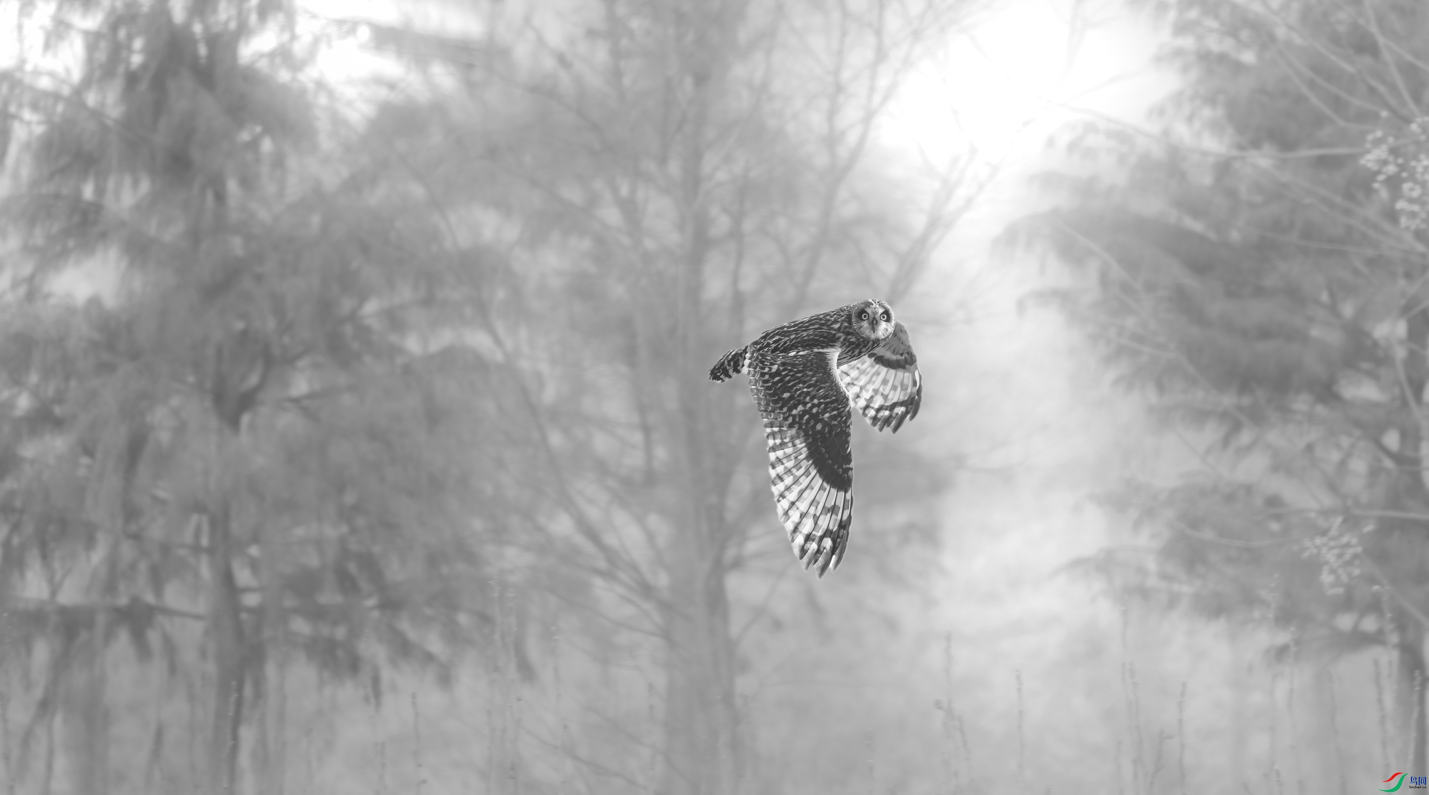 _DSC4816.jpg
