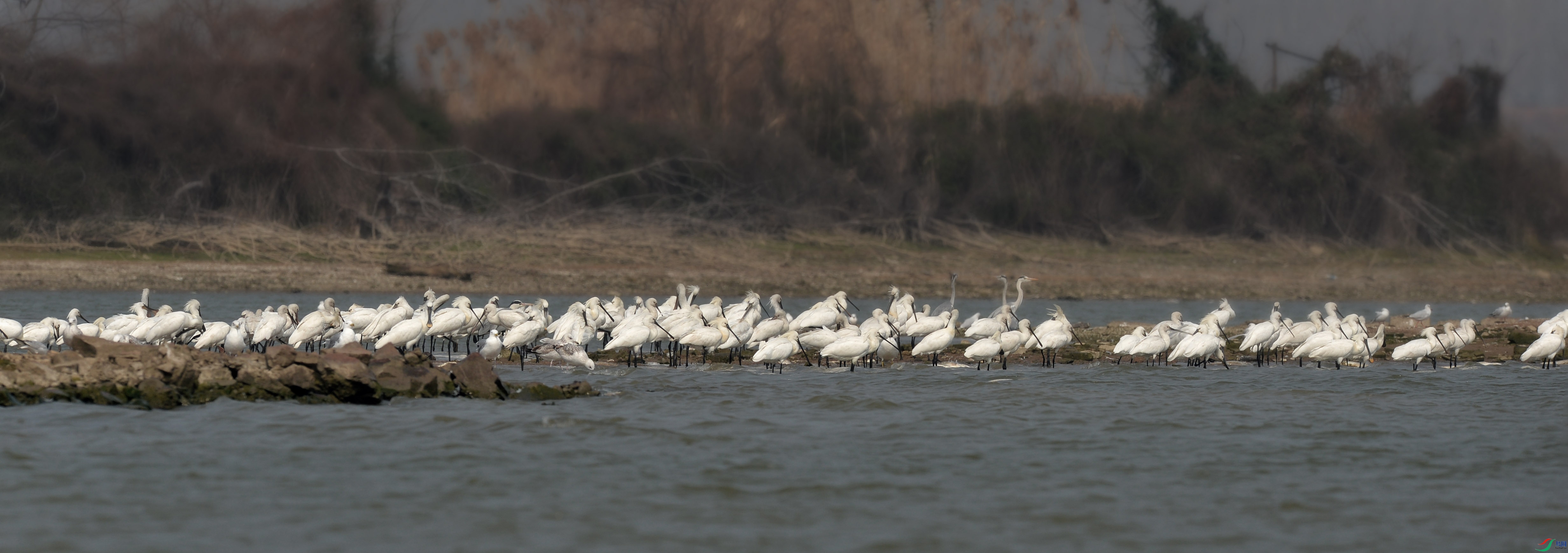 DSC_8860.jpg