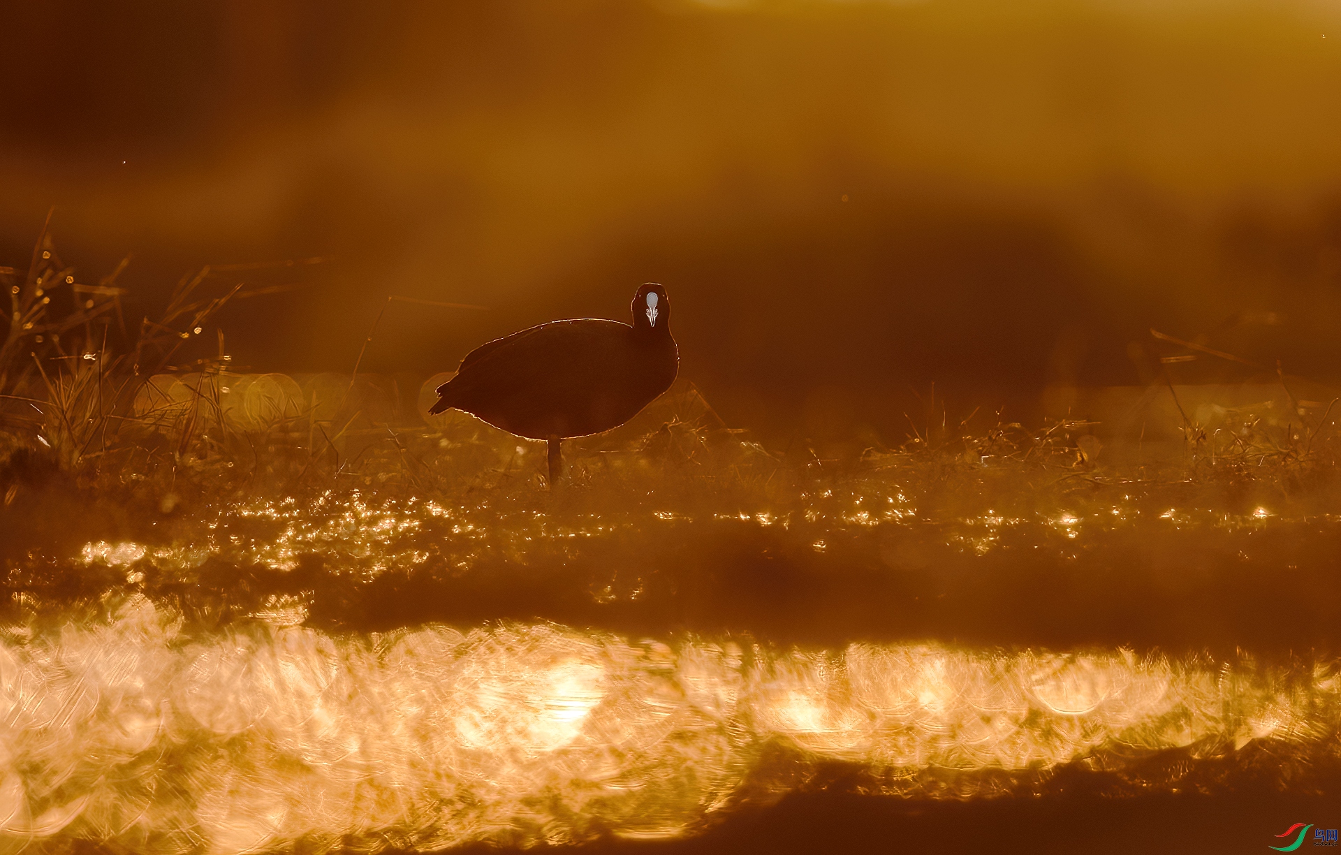 A75A8704-�༭ ����.jpg