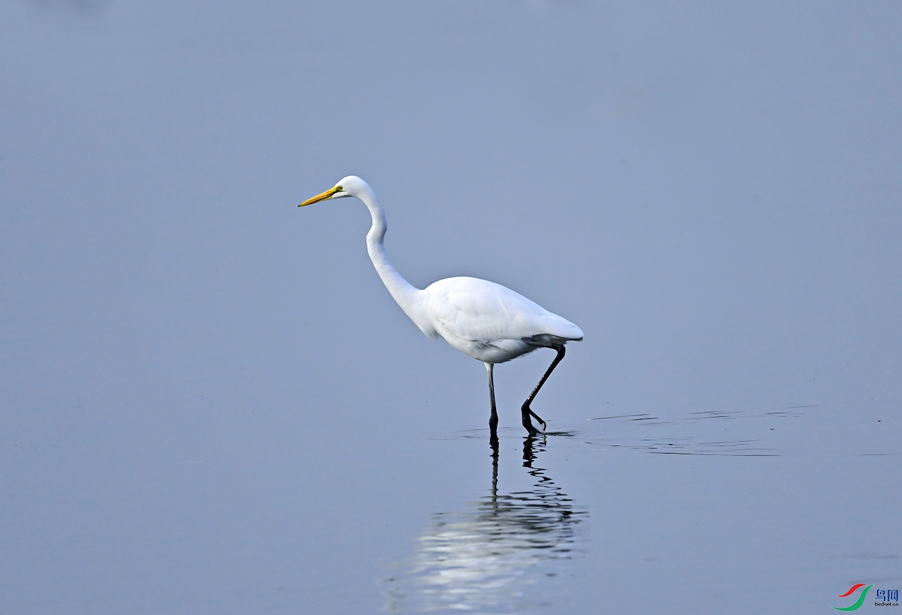 _DSC3542f.jpg