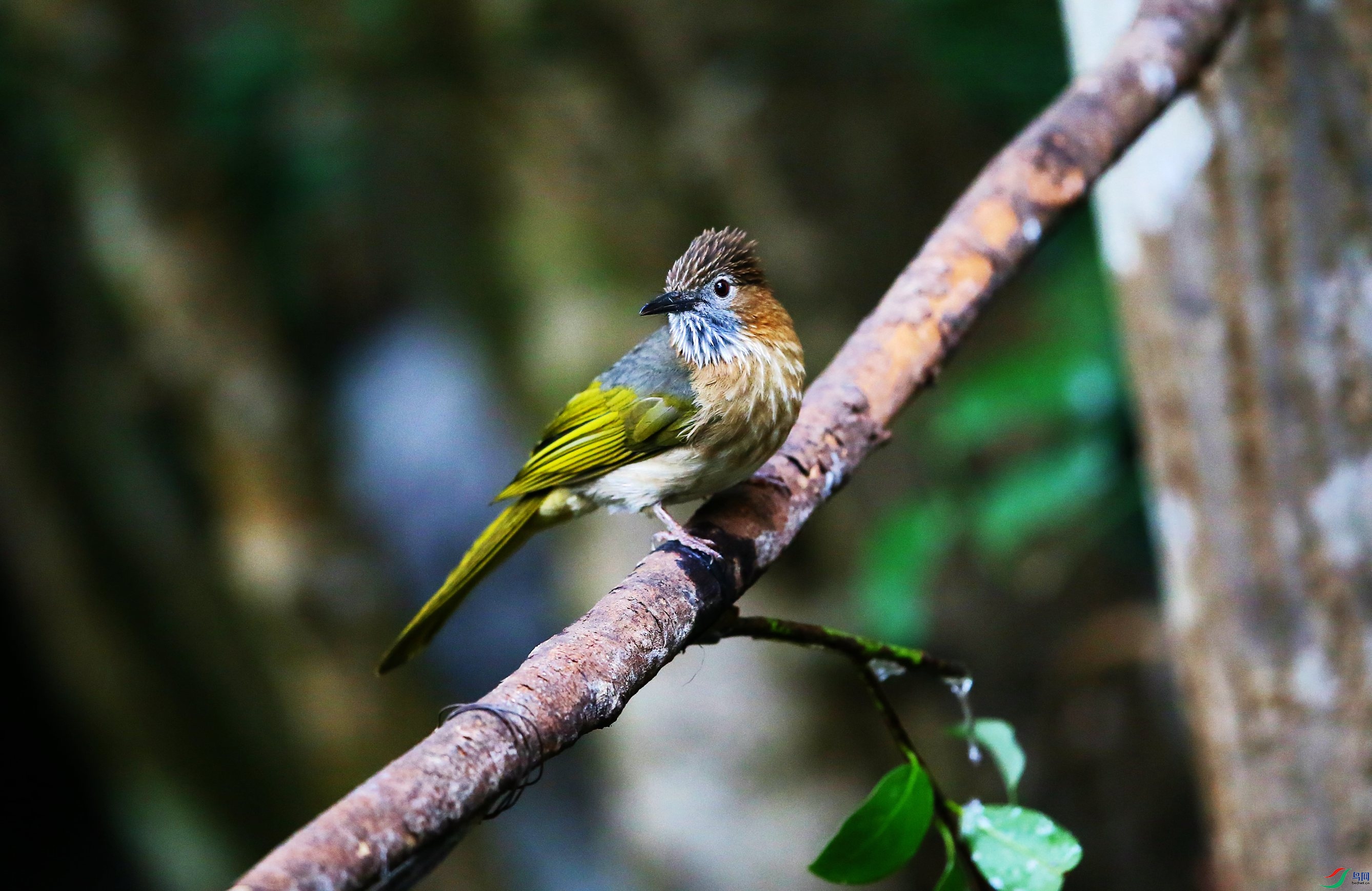 �̳�̽��� (3).JPG