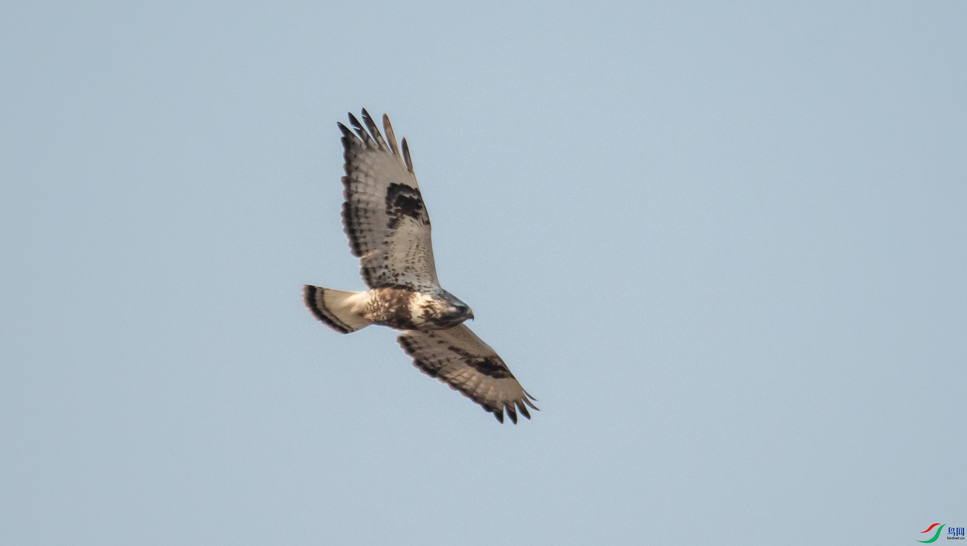 DSC_1584.jpg